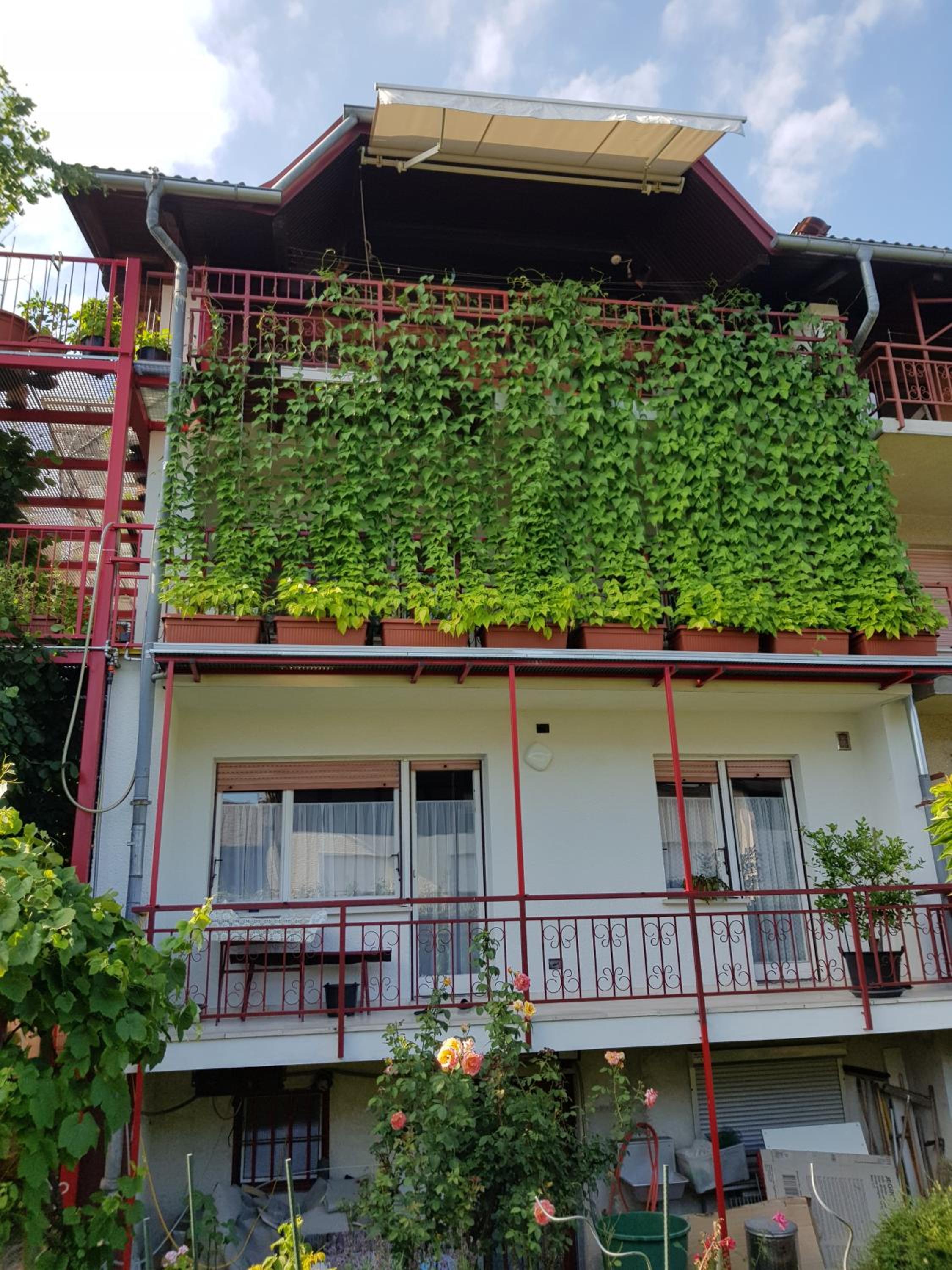 Ljubljana's terrace view 5