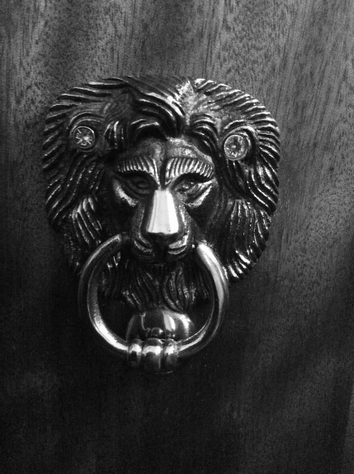 THE LION'S DEN ON ROYAL STREET view 5