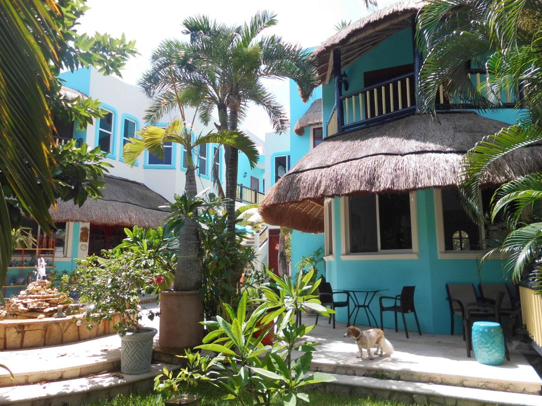 Casa Gatos Suites — photo 5