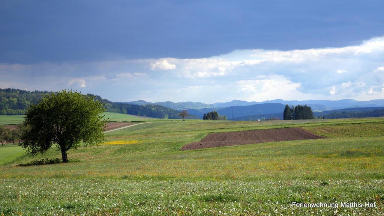 Matthis-Hof