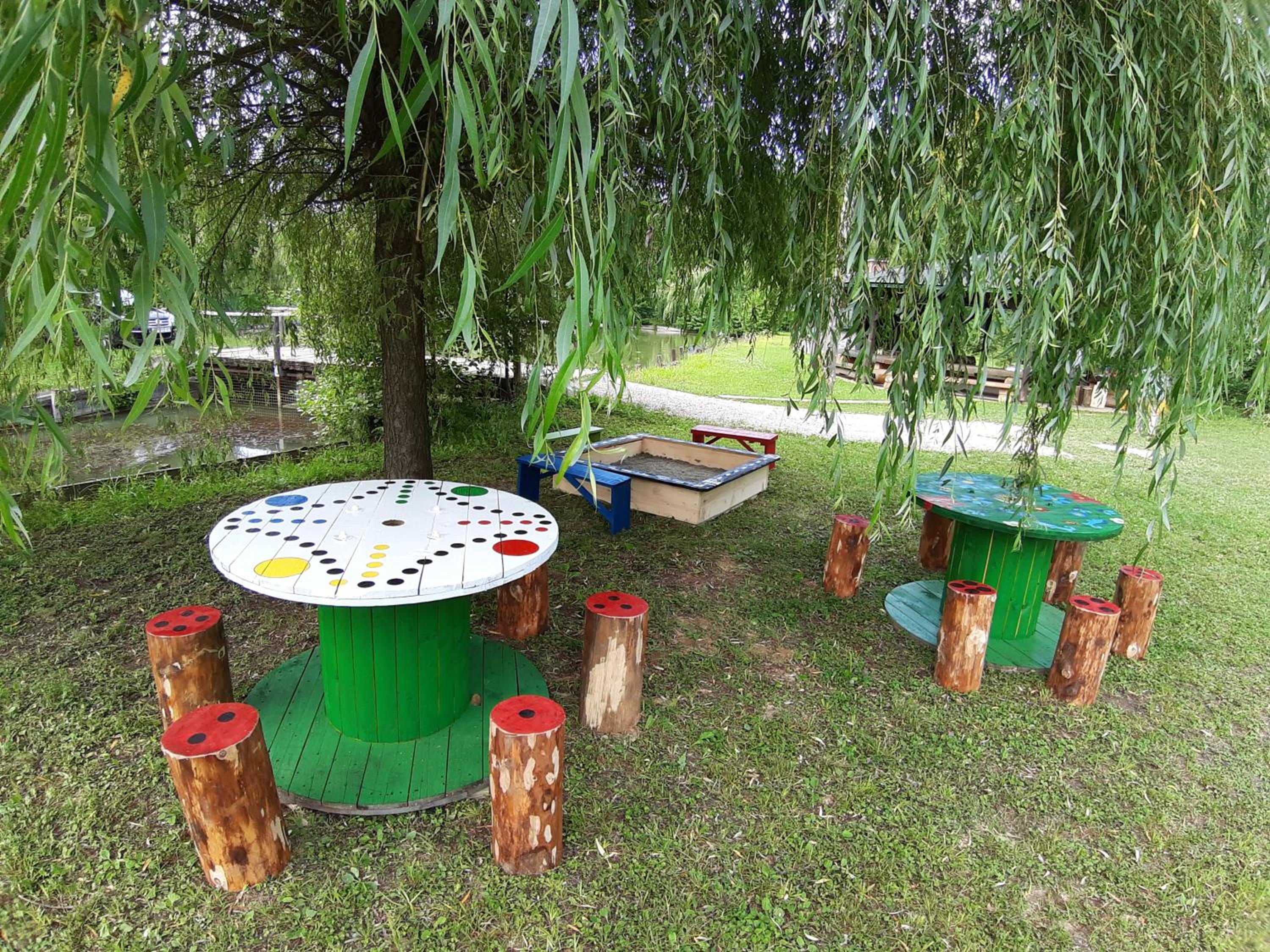 Photo 43