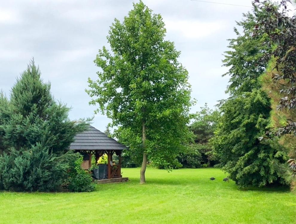 Apartmánové ubytovanie POD DUBOM view 2