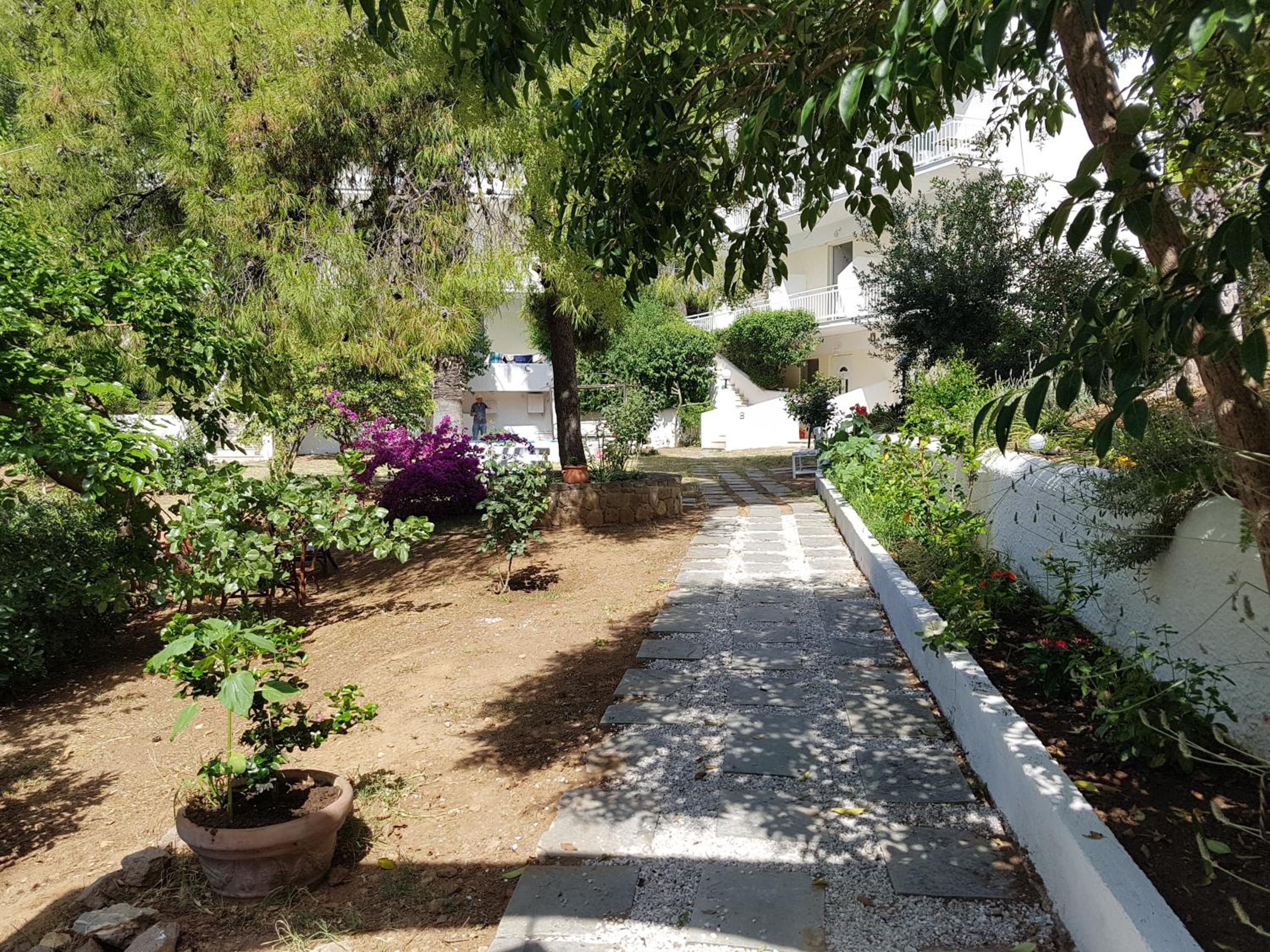 Photo 25