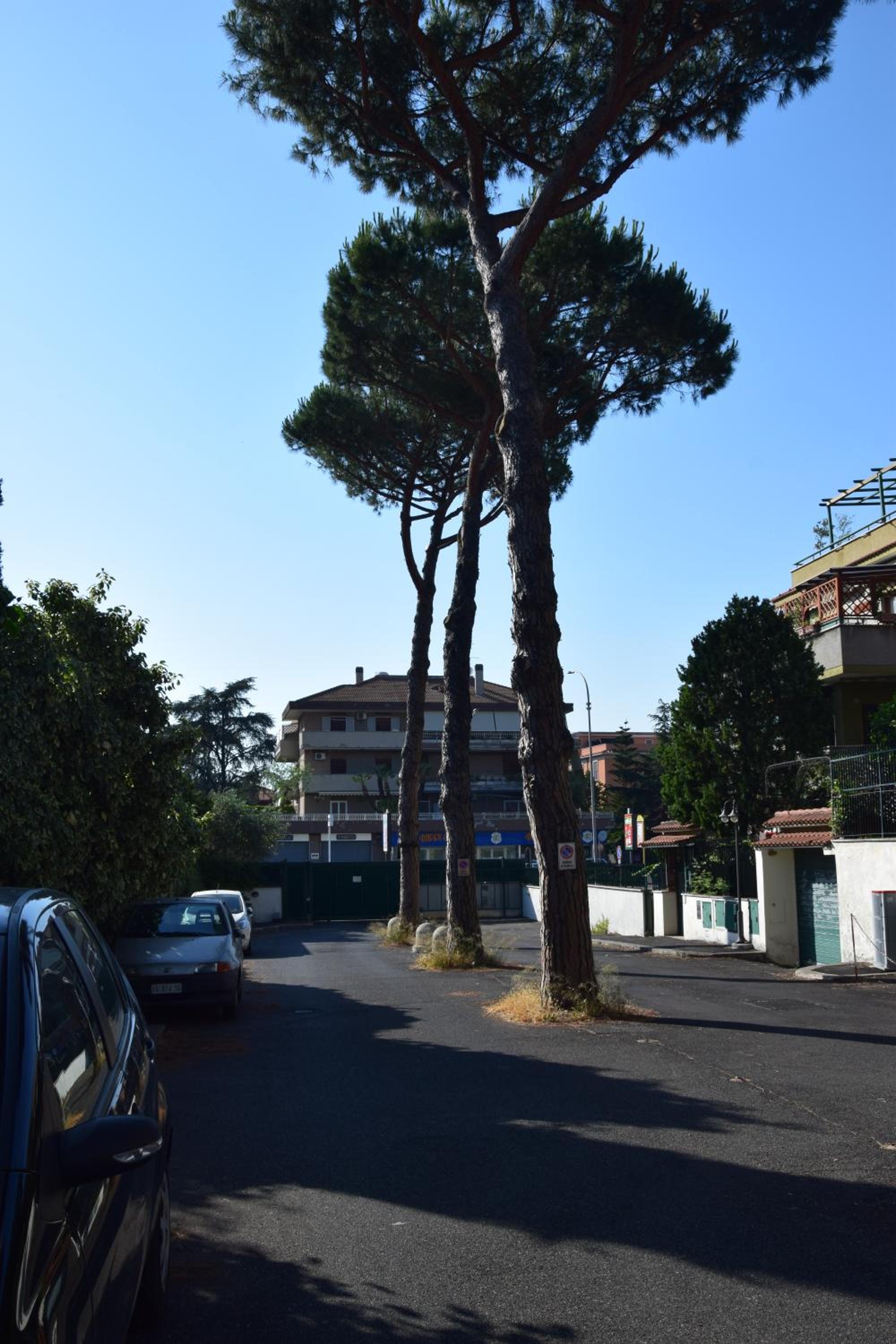 Eva's house Roma