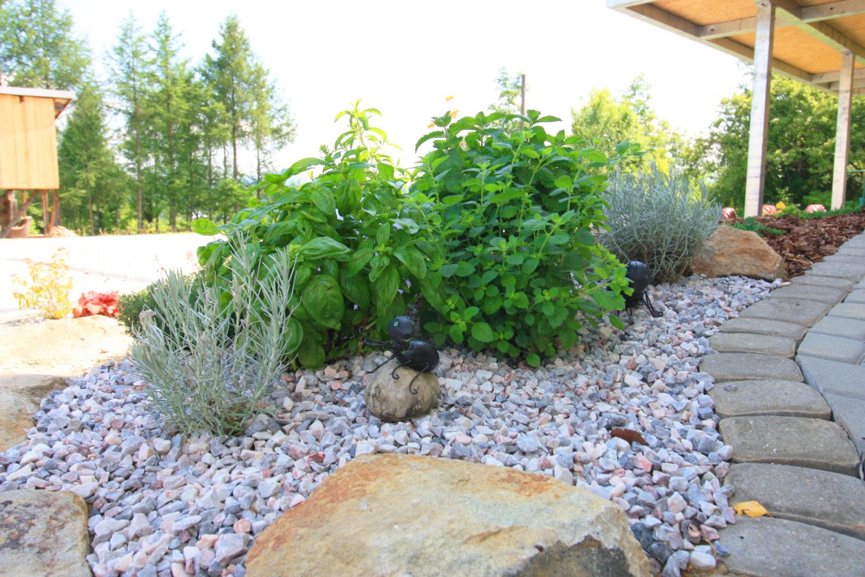 Photo 40