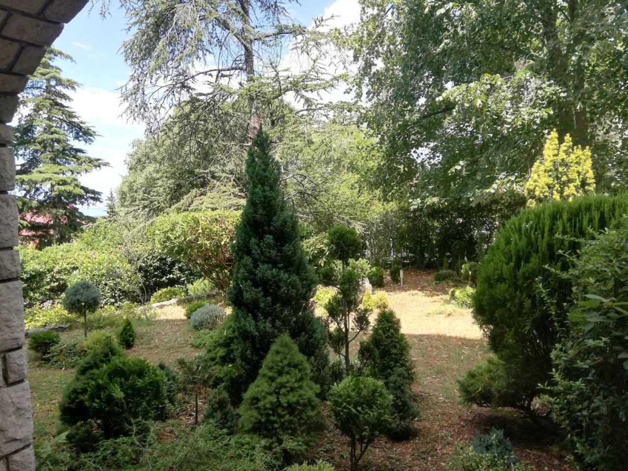 Photo 32