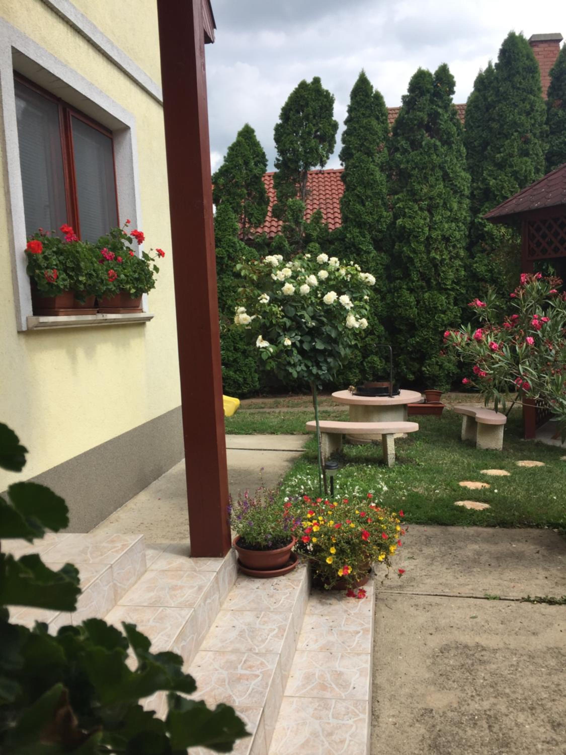 Photo 42