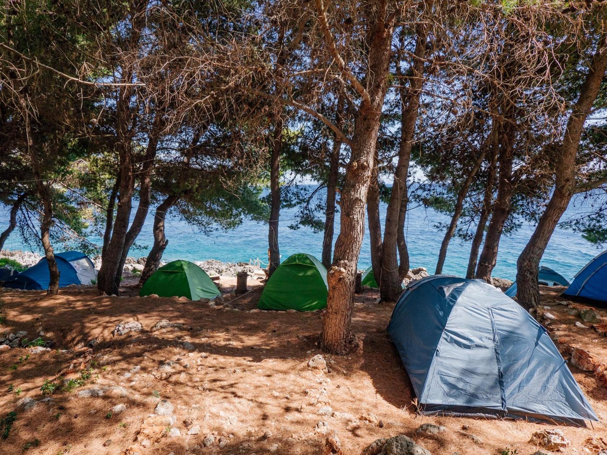 THE SEA CAVE CAMPING photo 2