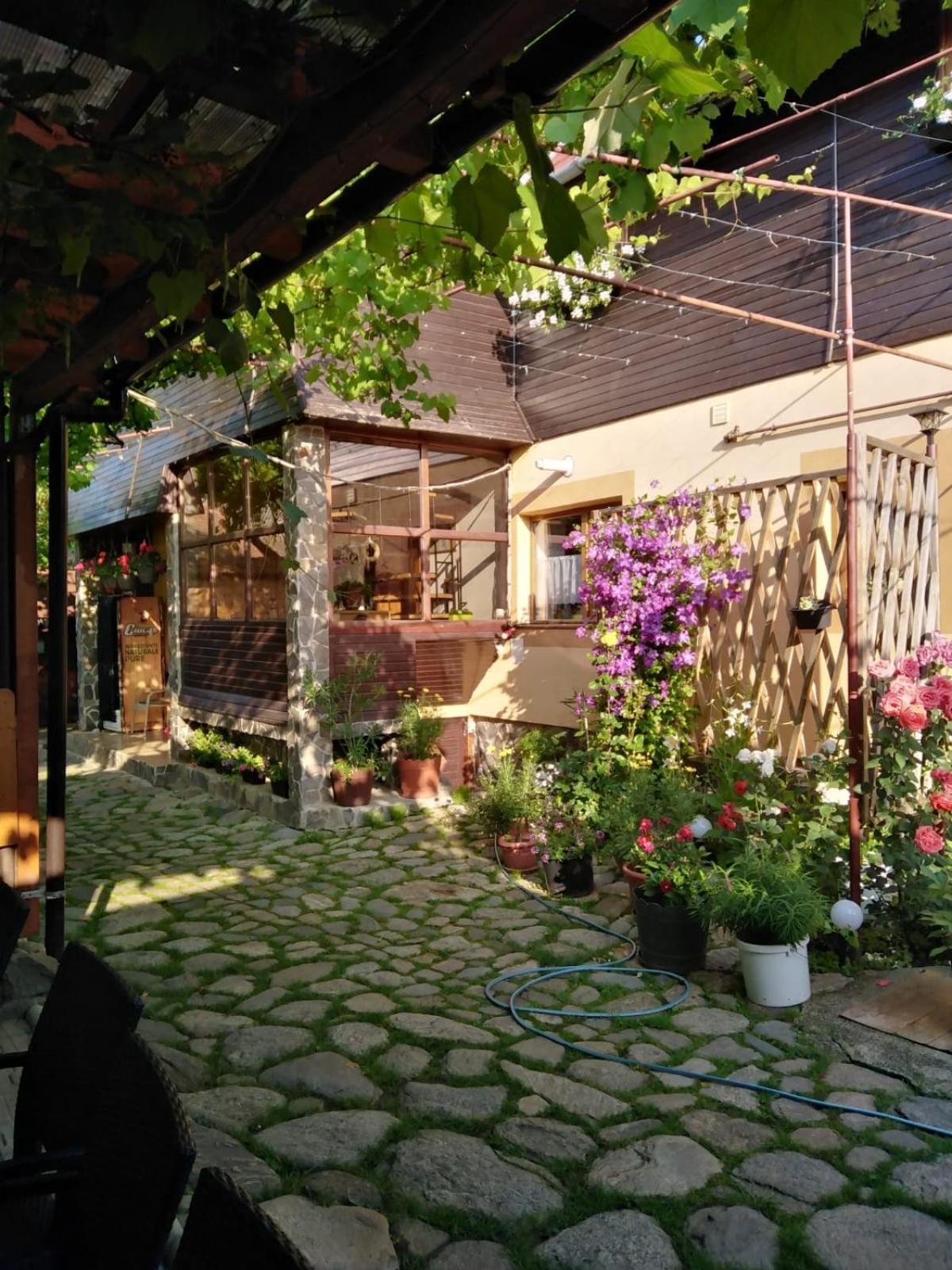 Pensiunea Sandra view 2