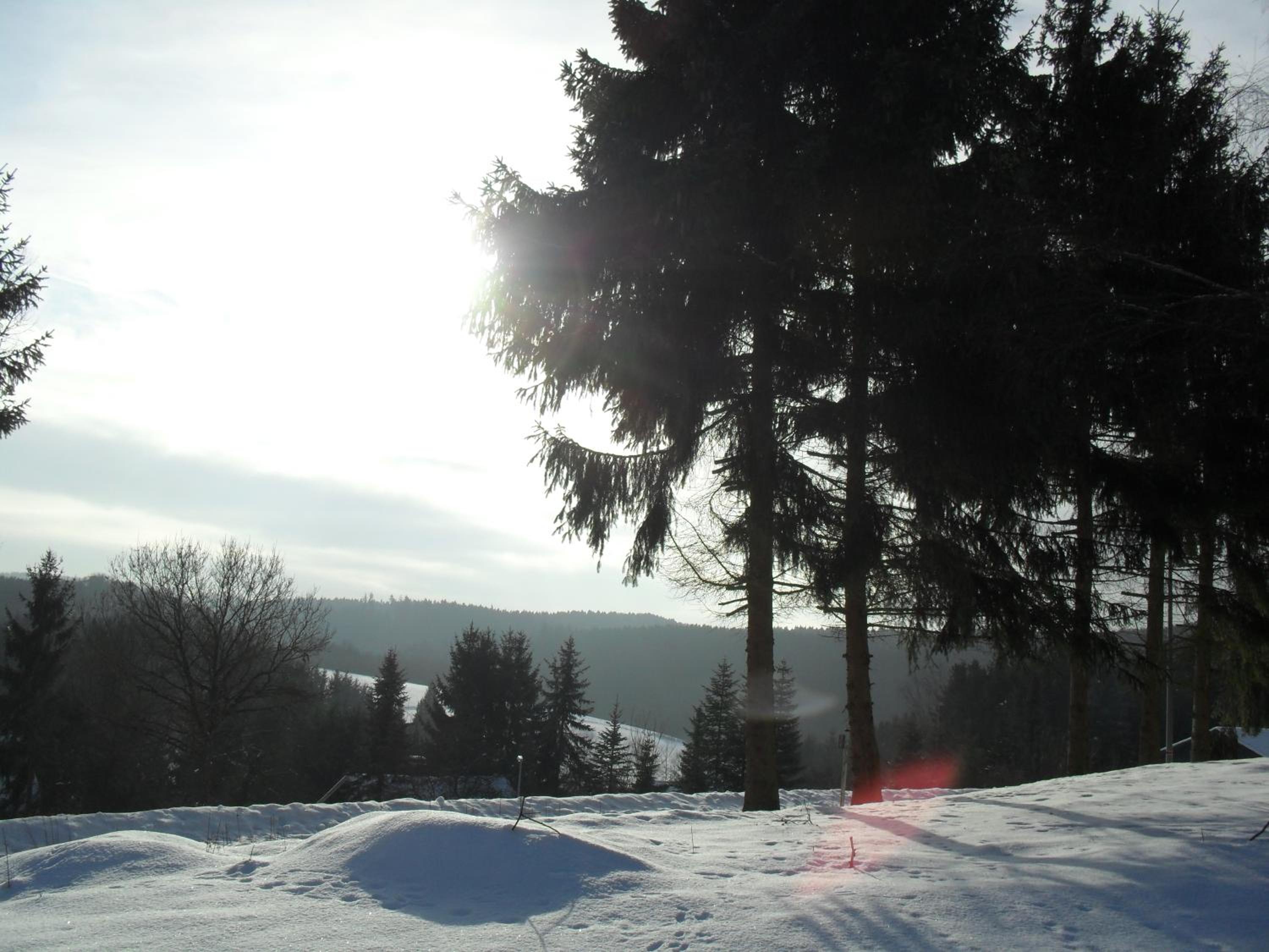 Eifelcottage