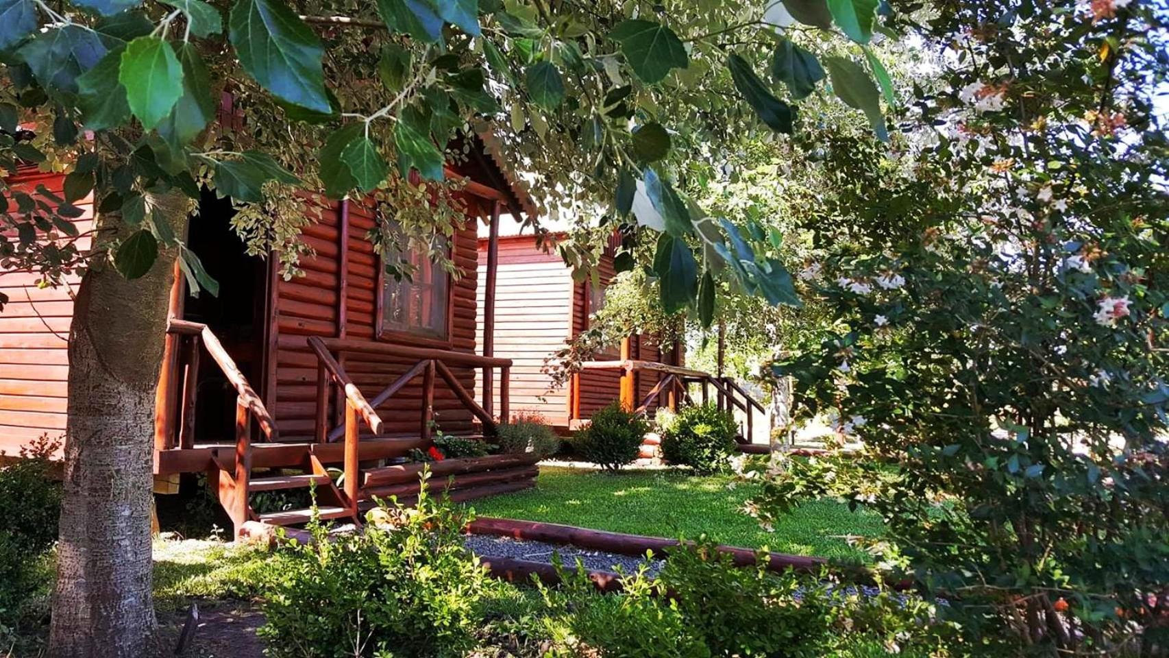 Cabañas Pulmahue