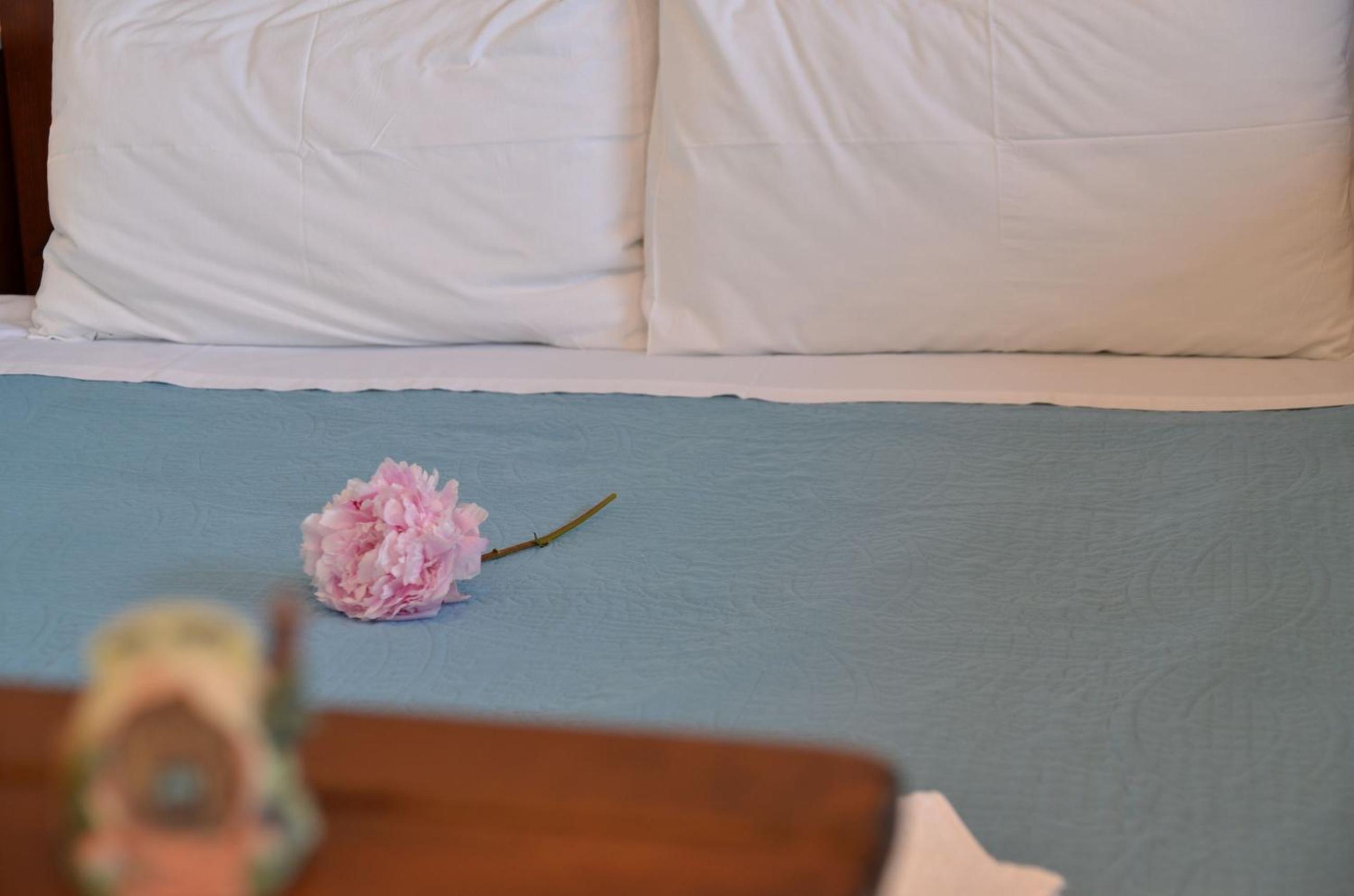 Thalassa Studios photo 2