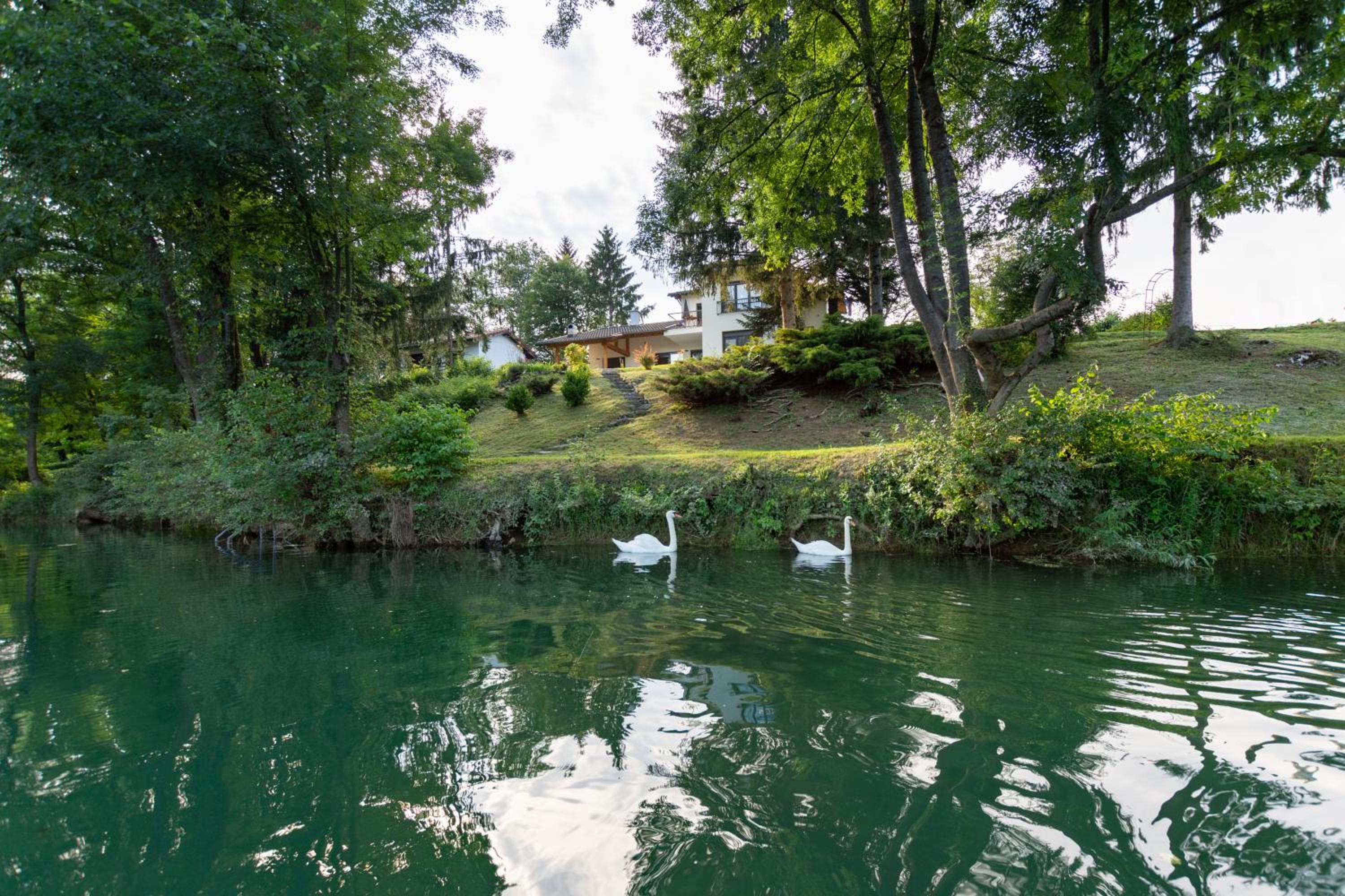 Pampas apartments Mrežnica view 3