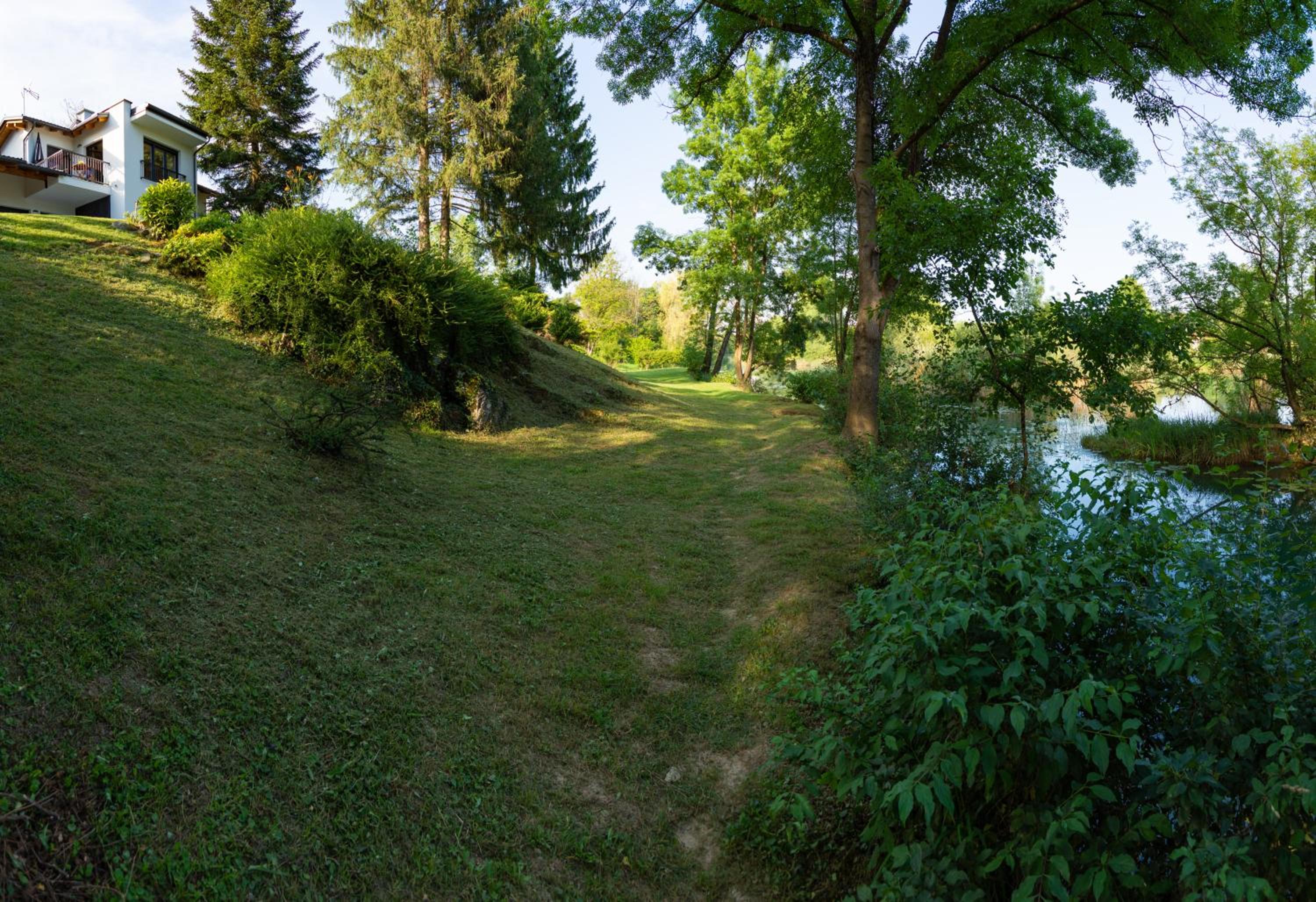 Photo 44