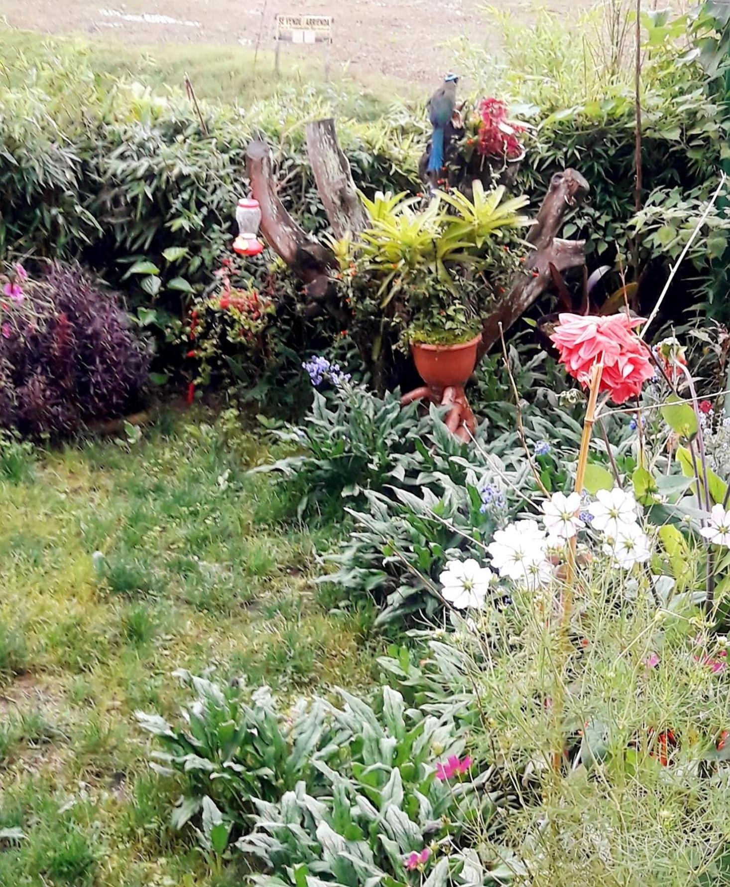 Photo 10