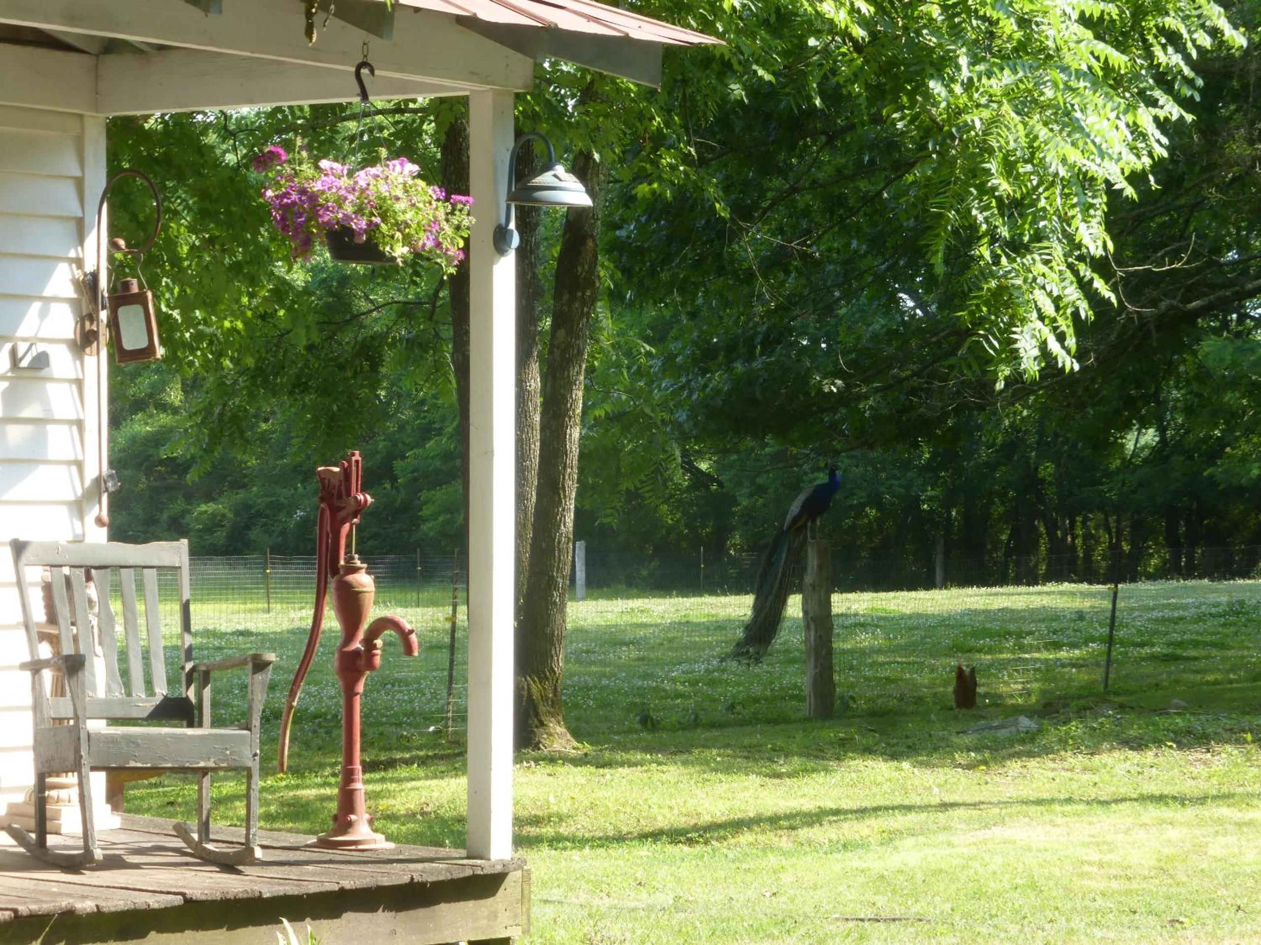 Mulberry Lavender Farm and B&B