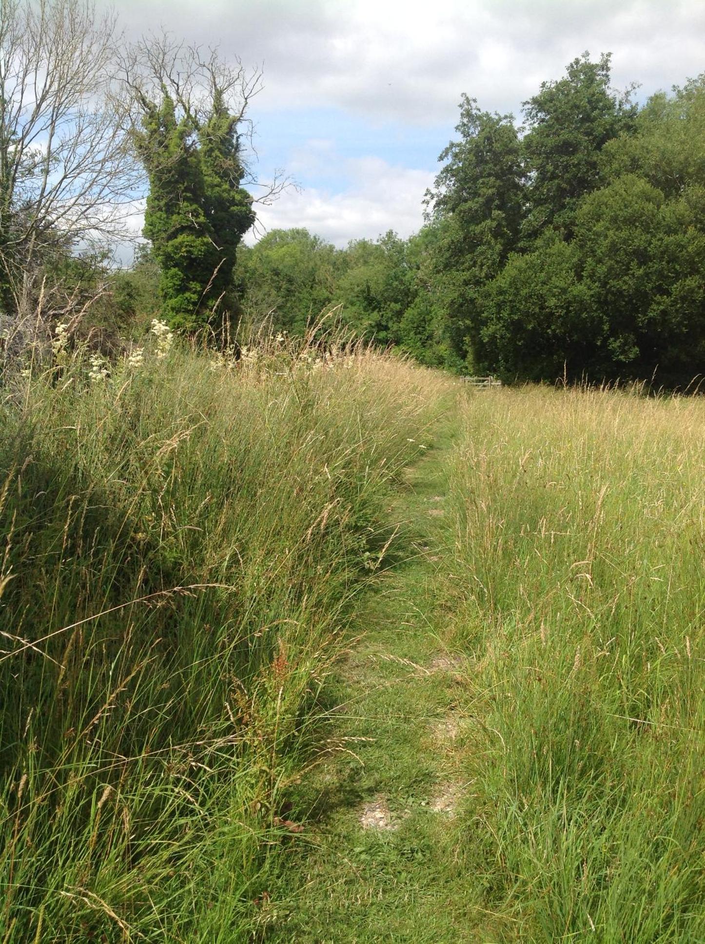 Photo 7