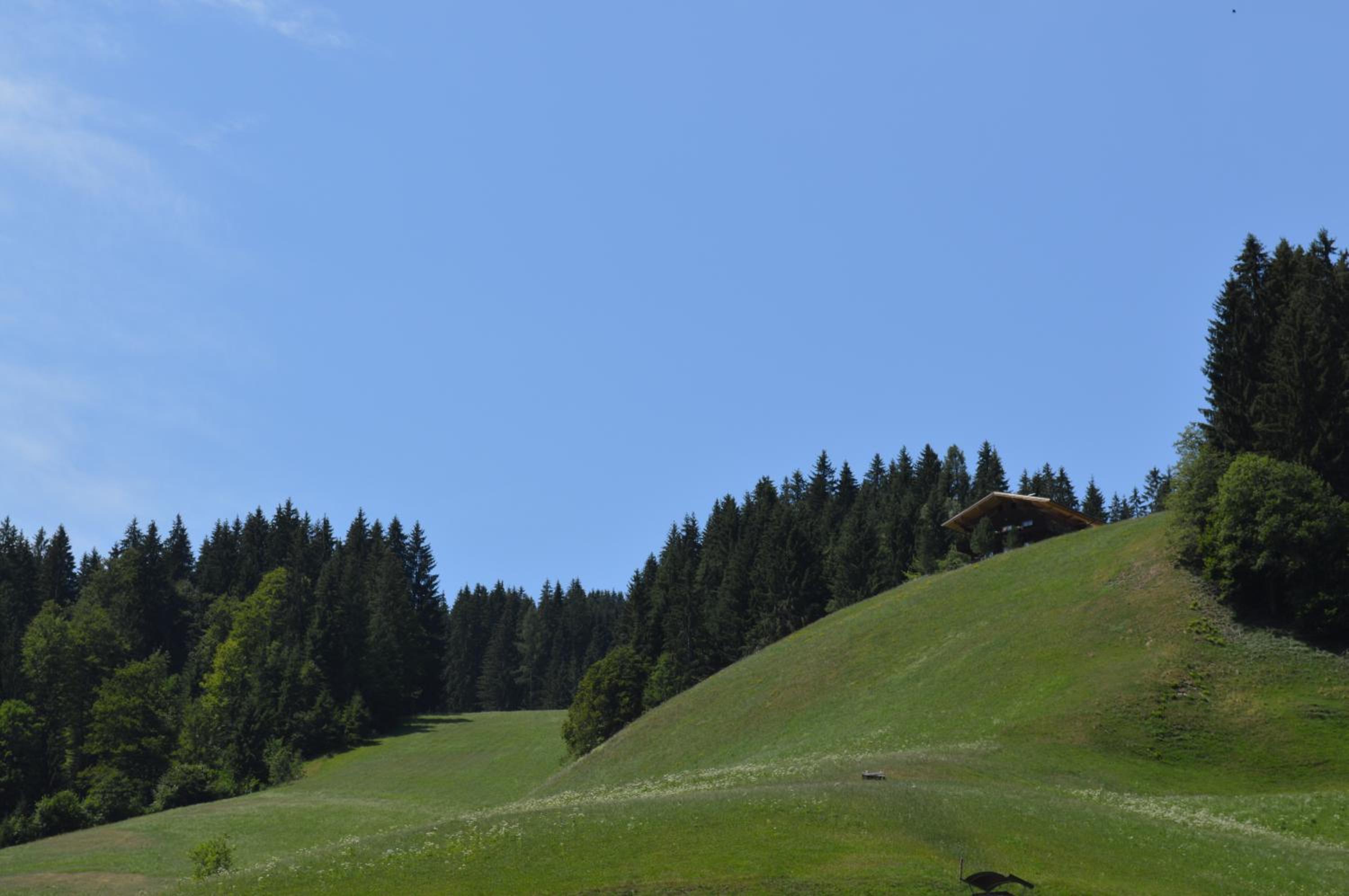 Appartement Tiefenbrunn