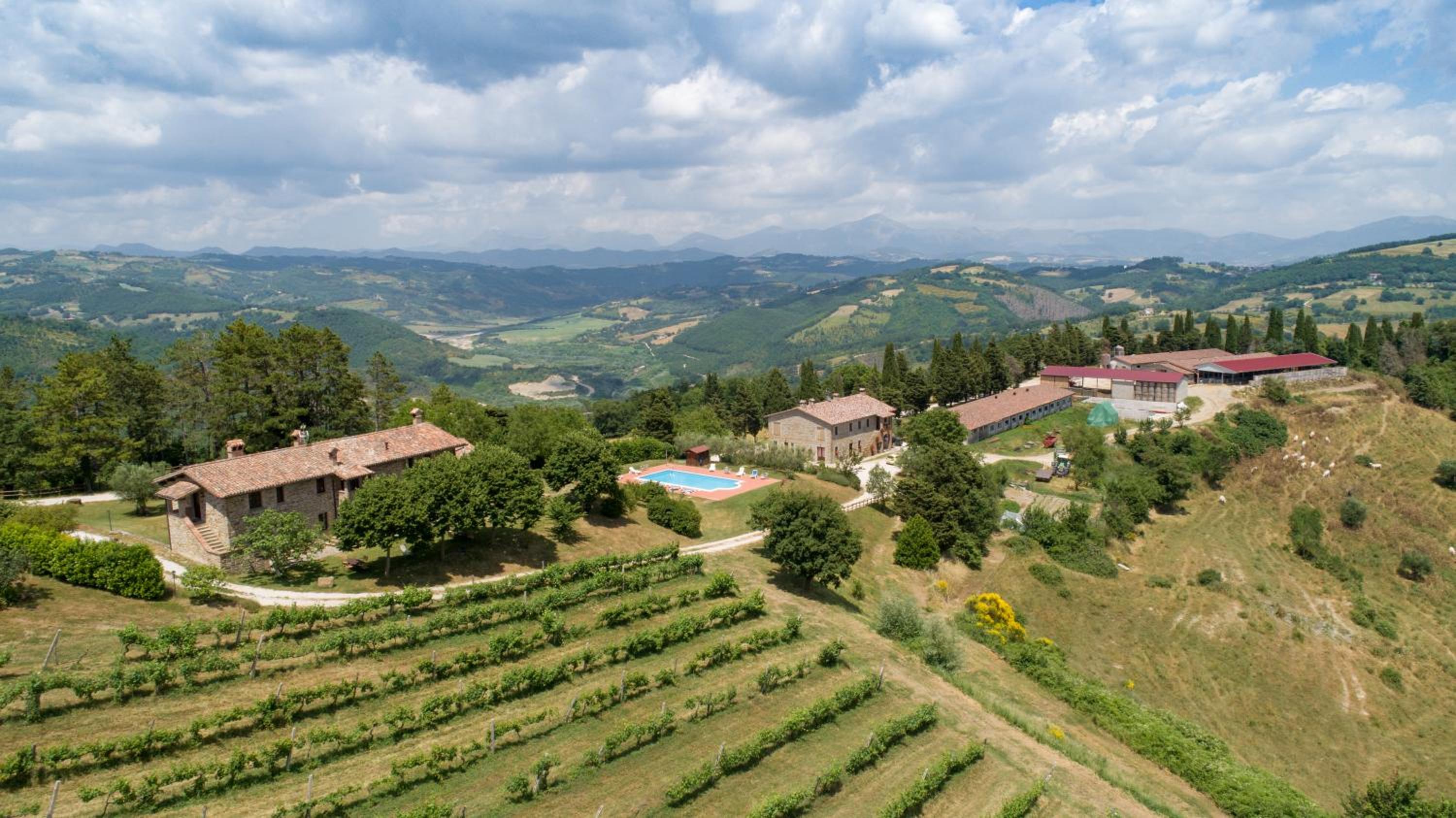 Agriturismo Tenuta Di Biscina