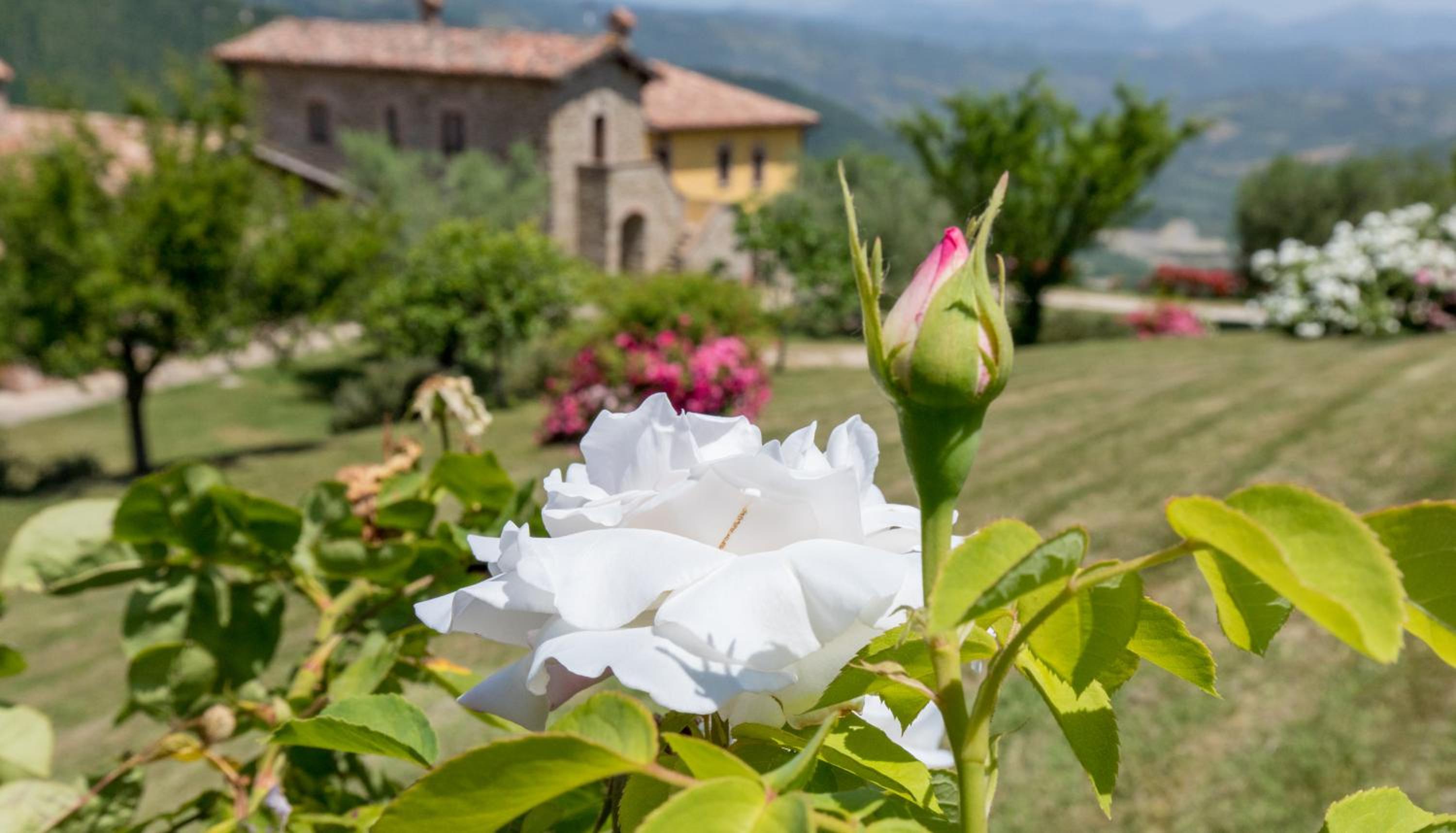 Agriturismo Tenuta Di Biscina