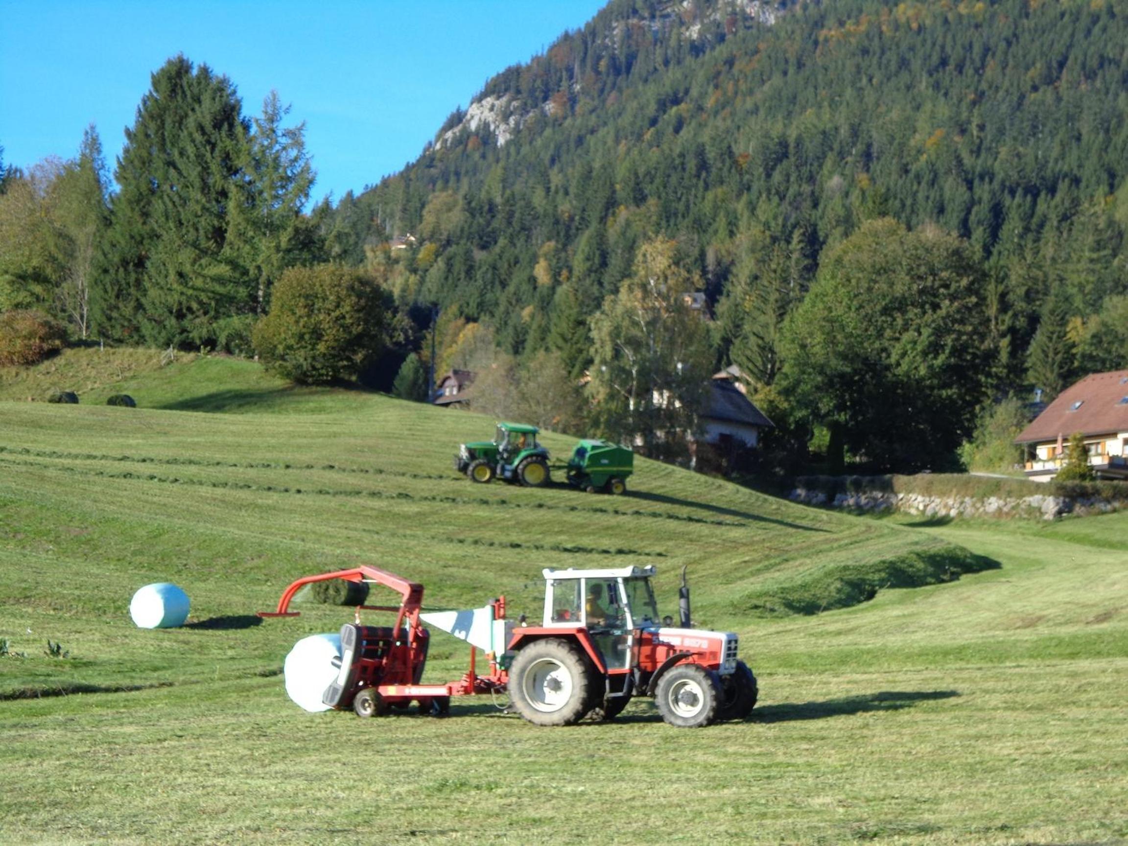 Wagnerhof