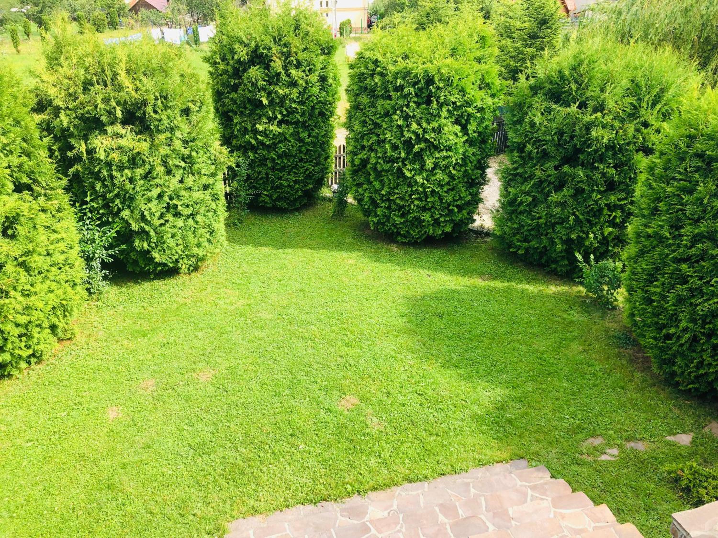 Photo 26