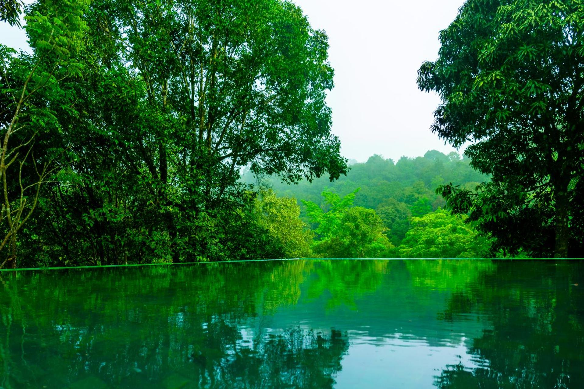 Wayanad Wild - A CGH Earth Experience