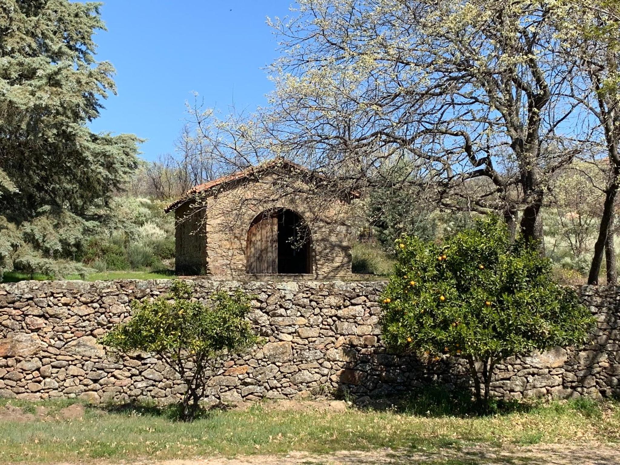 Photo 17