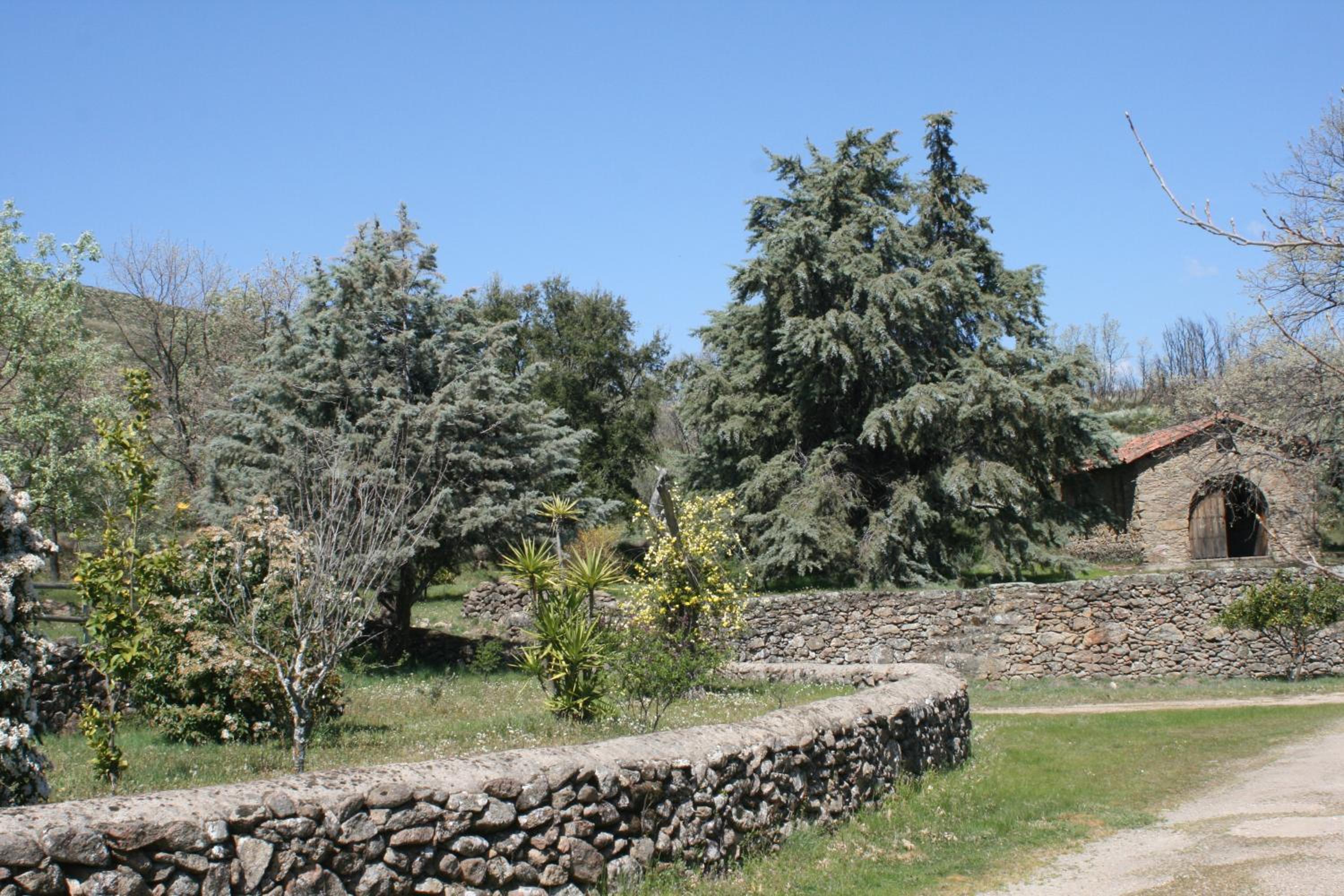 Photo 25