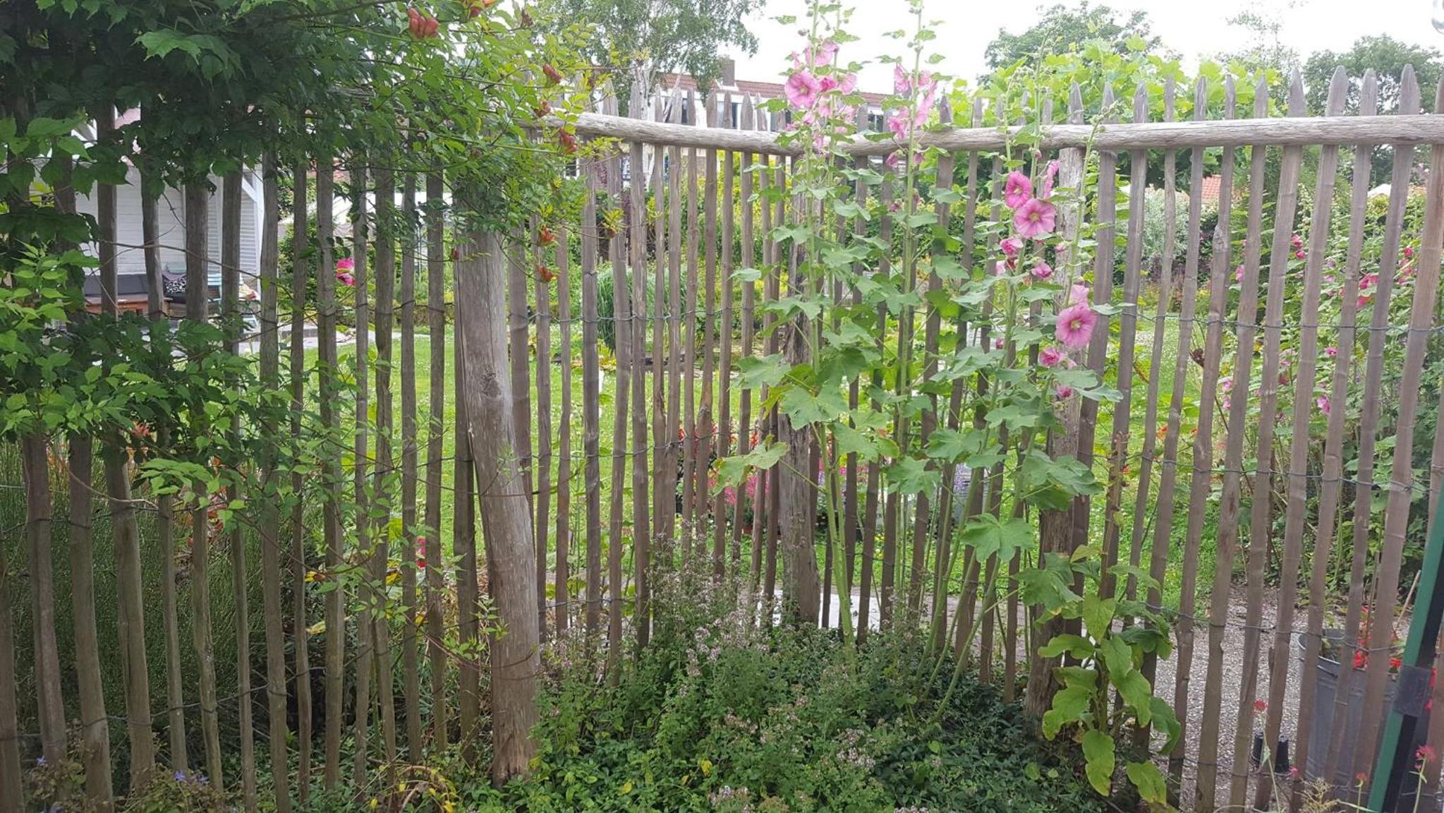 Bijzonder Bakkum view 3