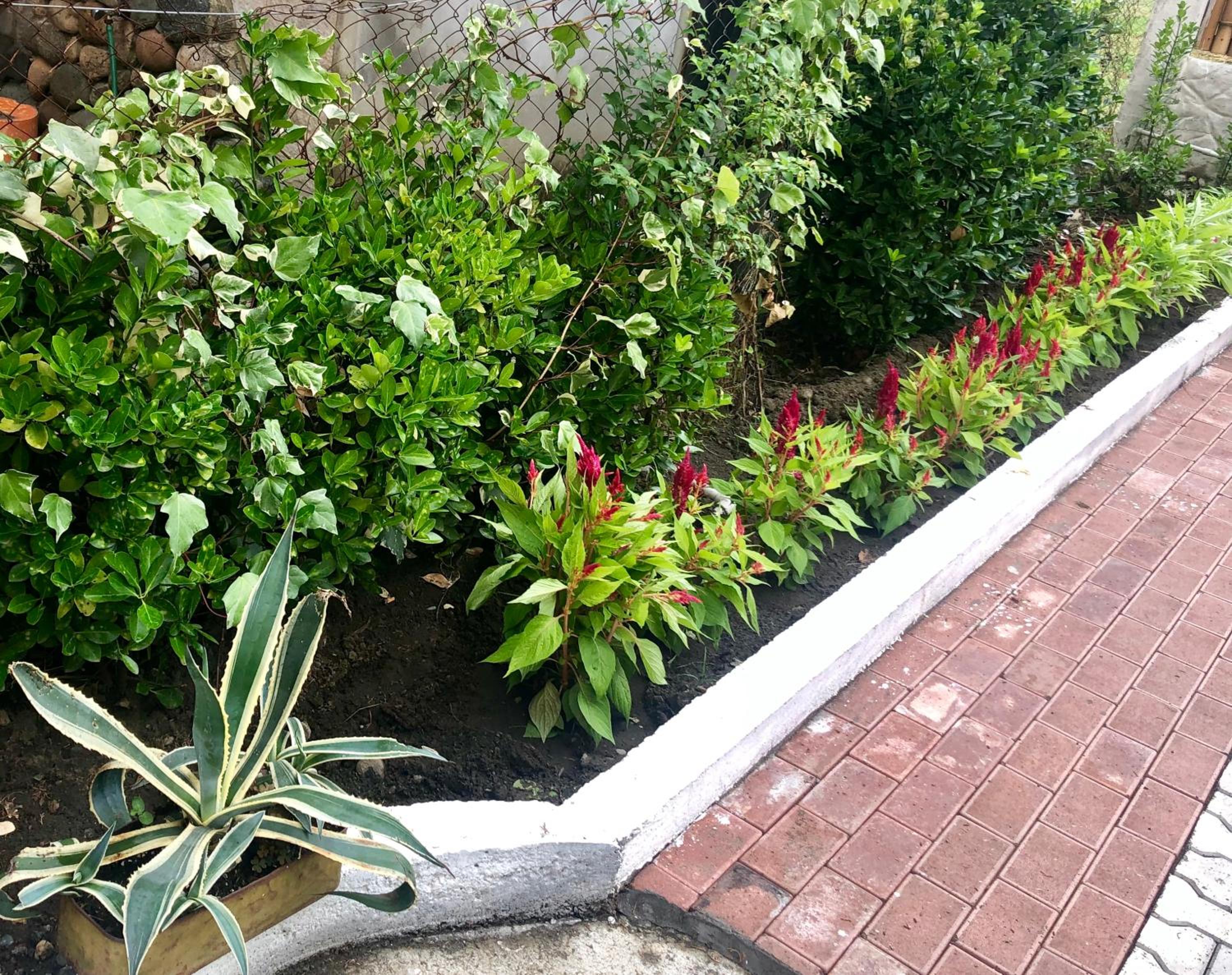 Hotel Ritsa view 2