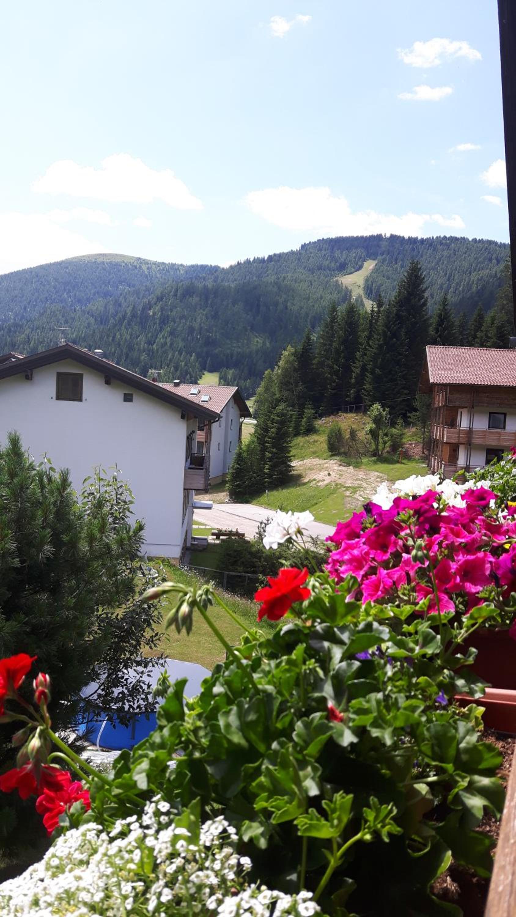 Ferienhaus Schäfer - Apartments - Wintersports - Family holiday - Holiday with your dog - Rural & Scenic