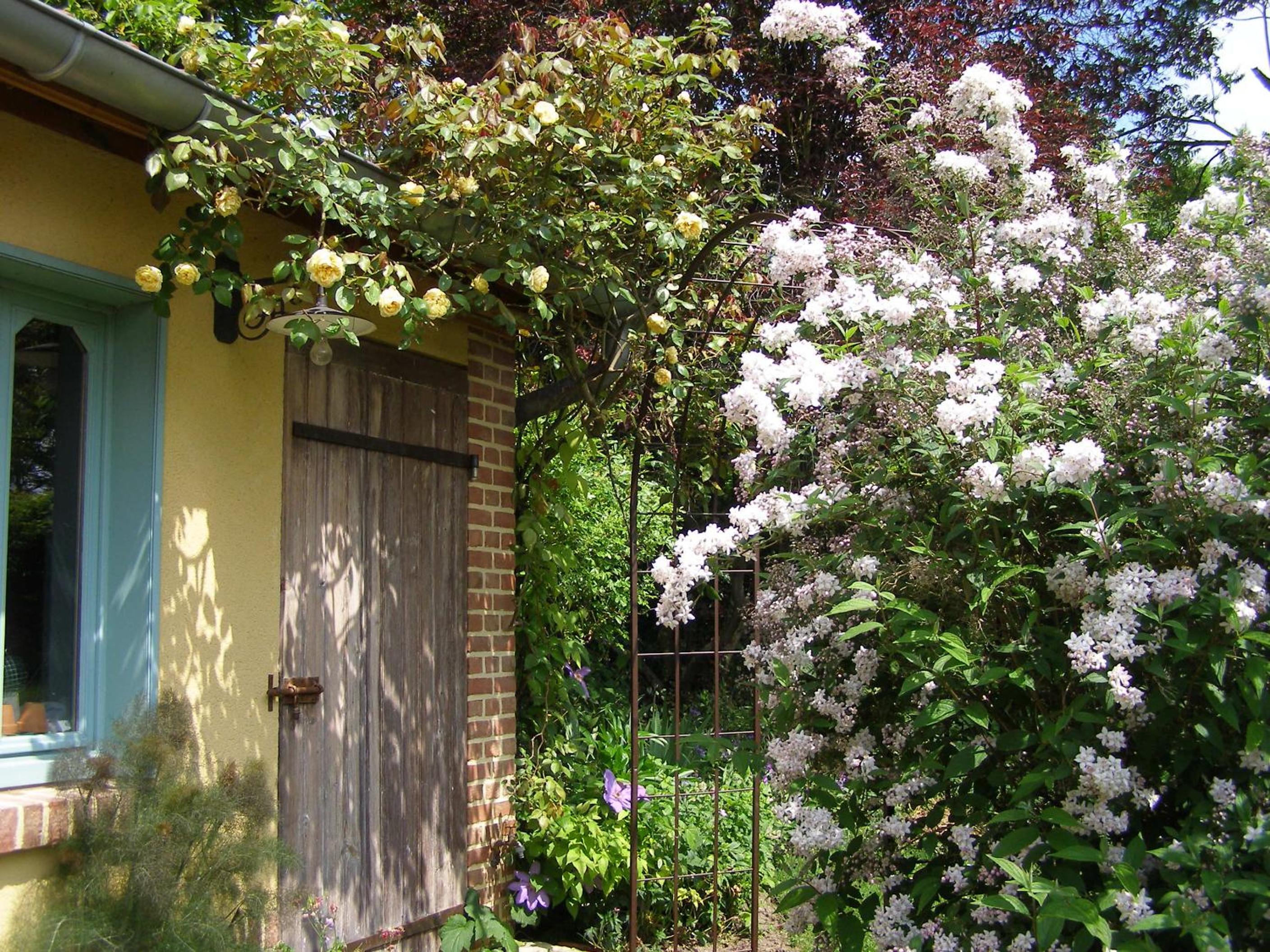 Photo 40