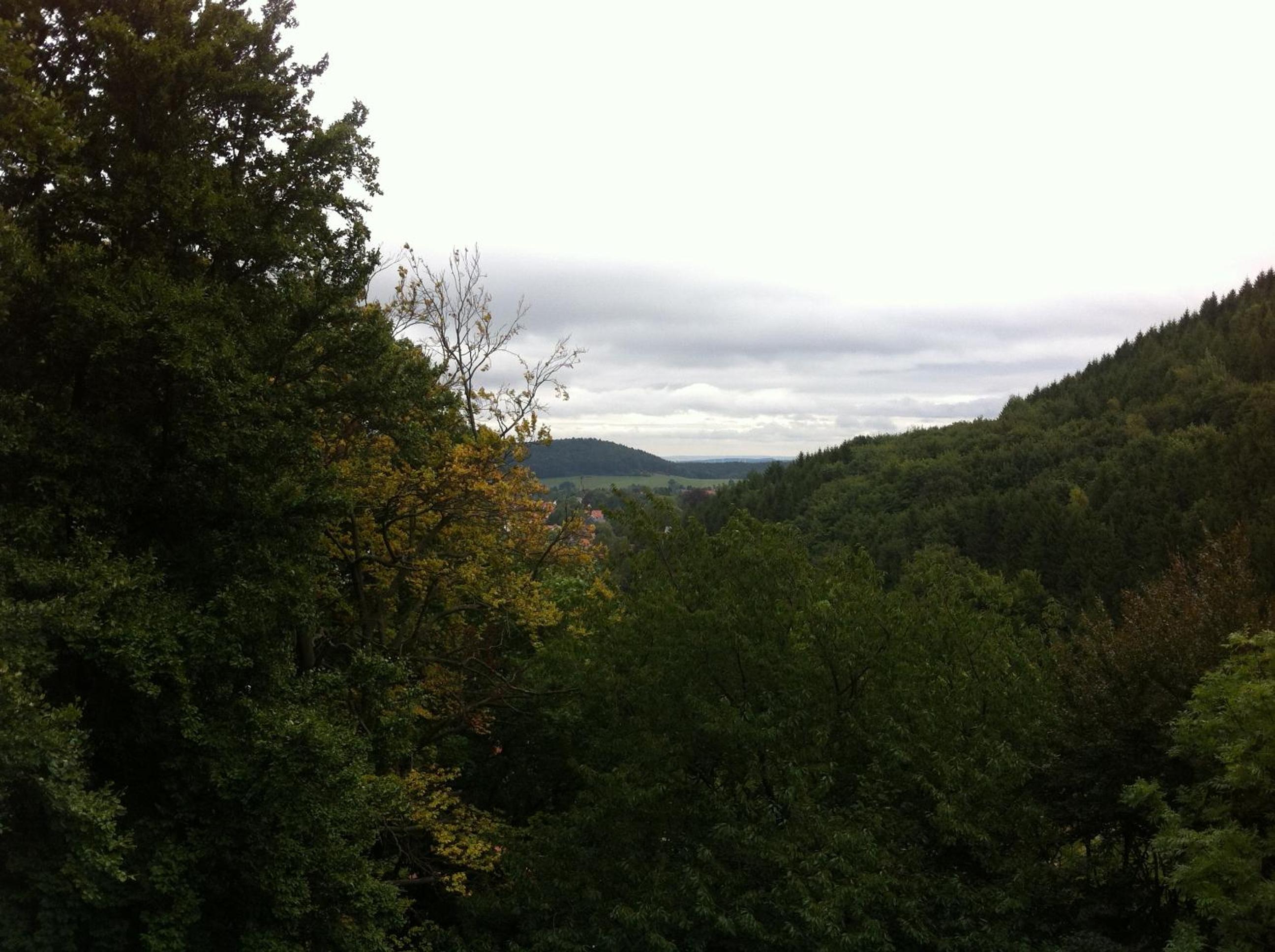 Pension Tannenrausch