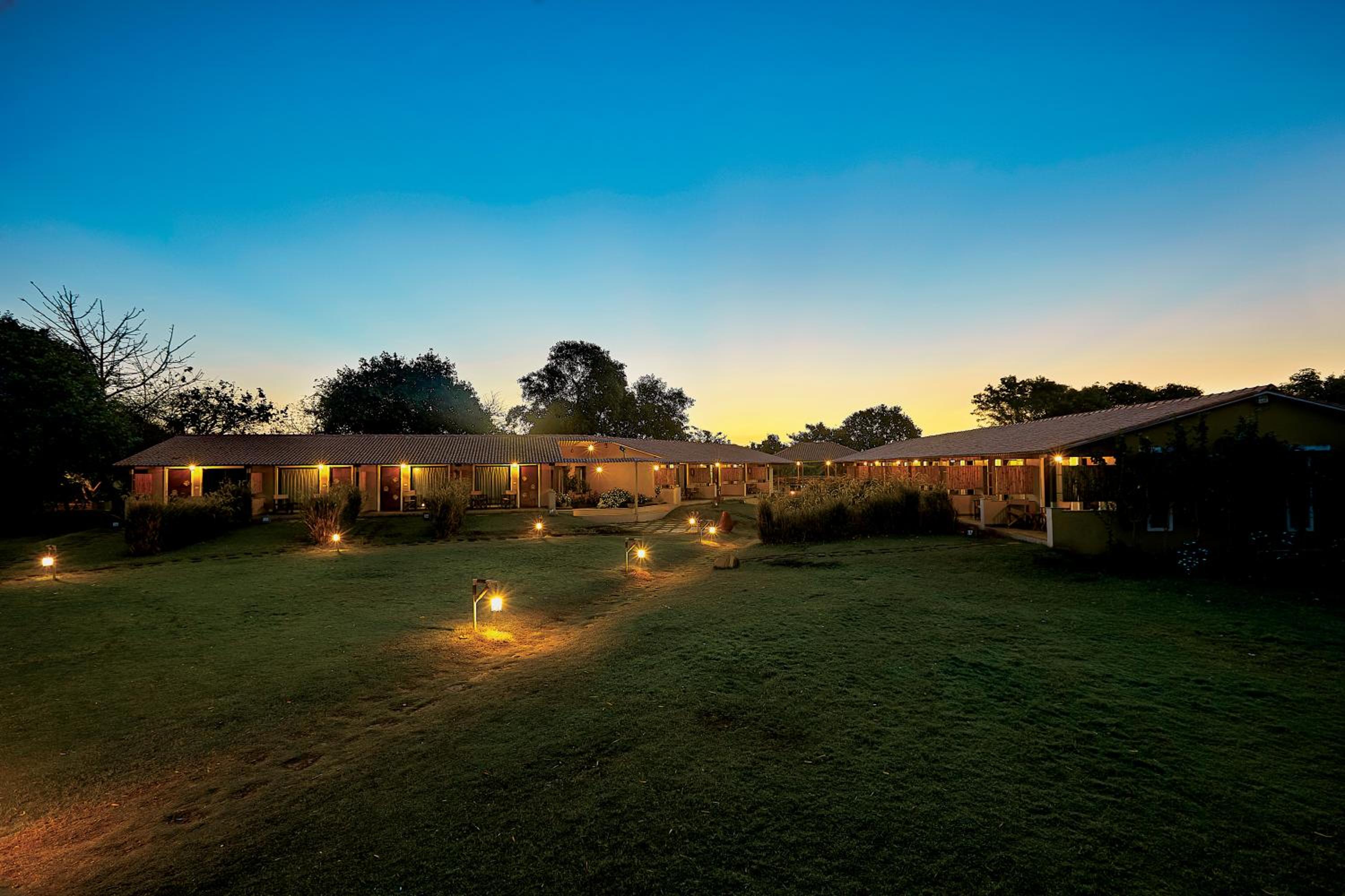 Asiatic Lion Lodge