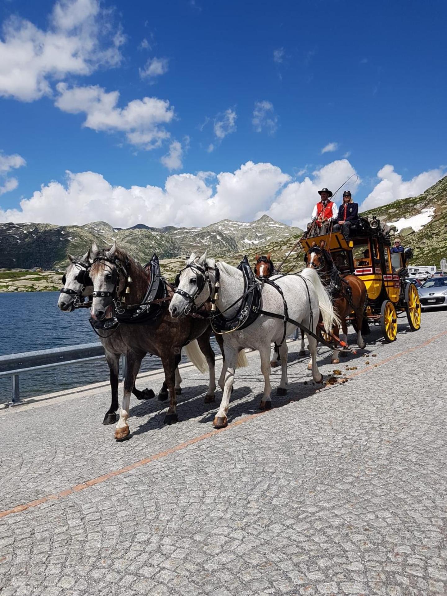 B&B Gottardo