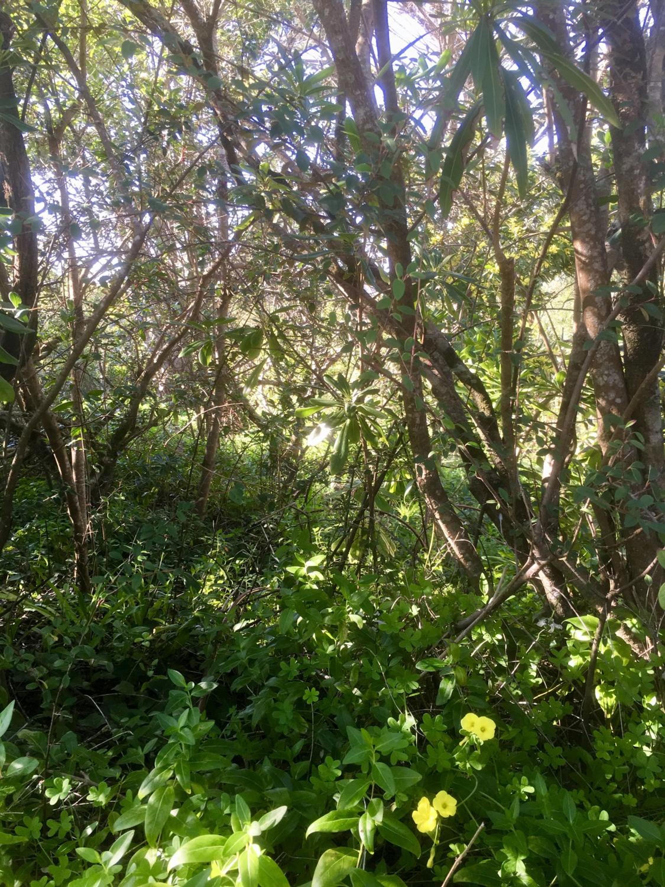Photo 26