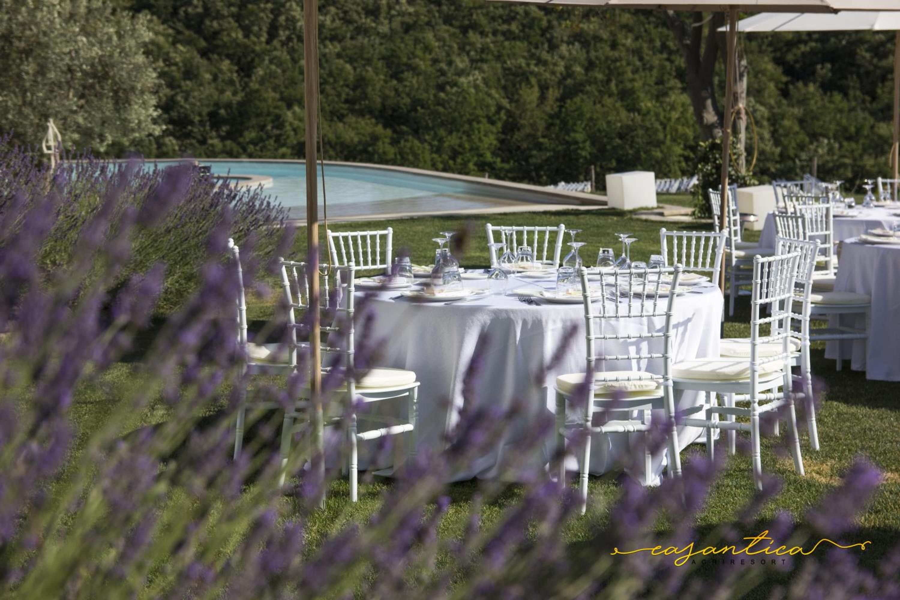 casAntica agriresort -Suites & Casa sull'albero view 3