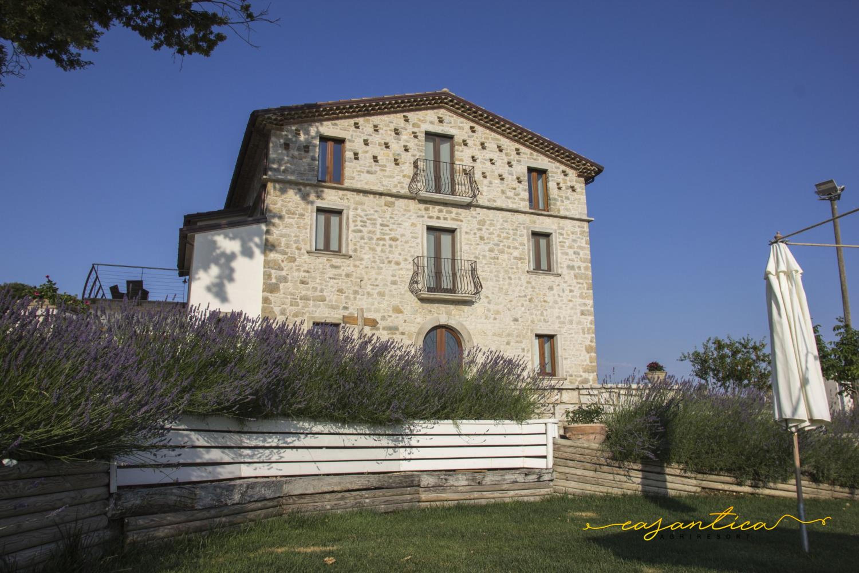 casAntica agriresort -Suites & Casa sull'albero view 5