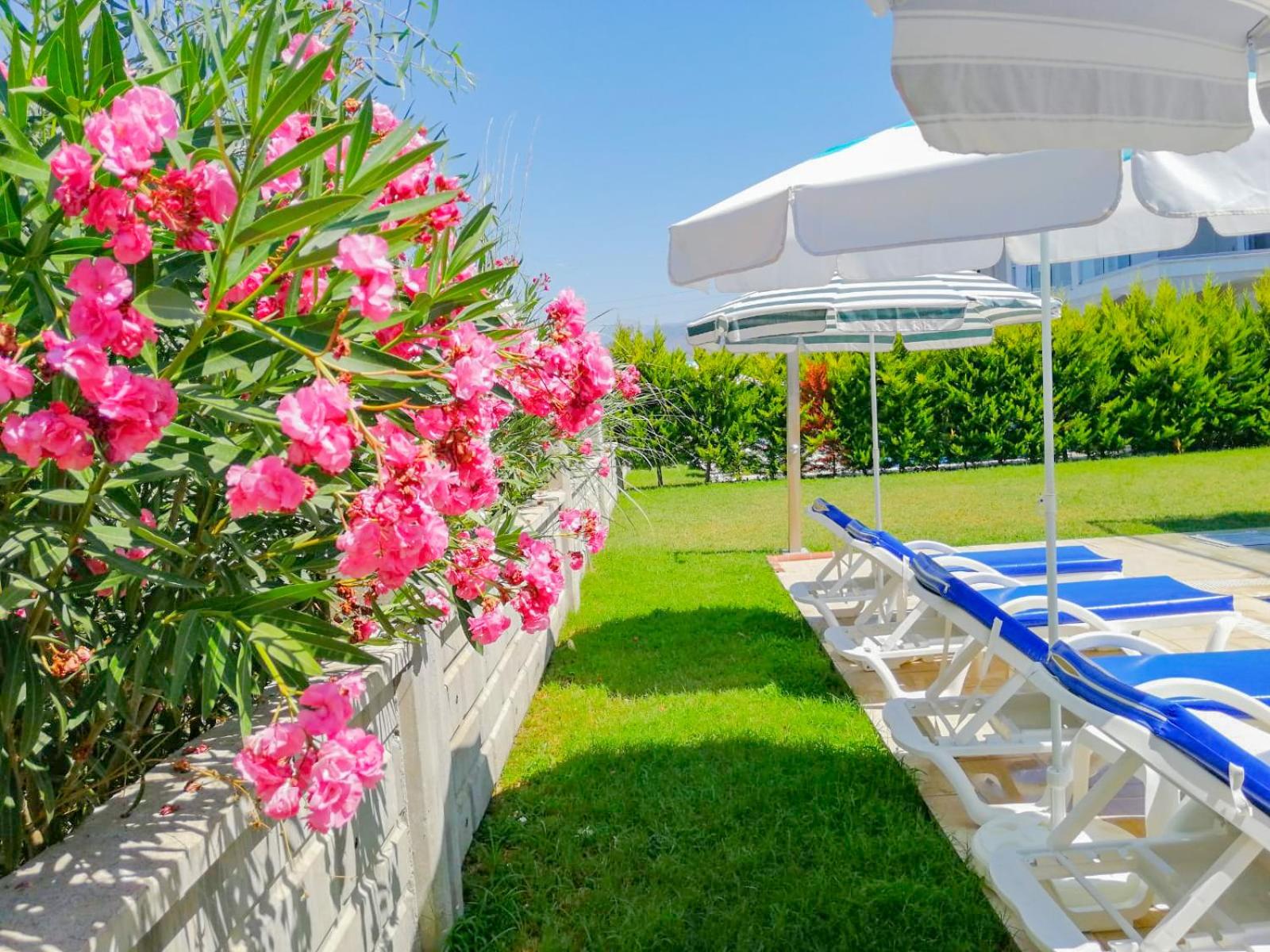 Villa Calis 1 - Image 9