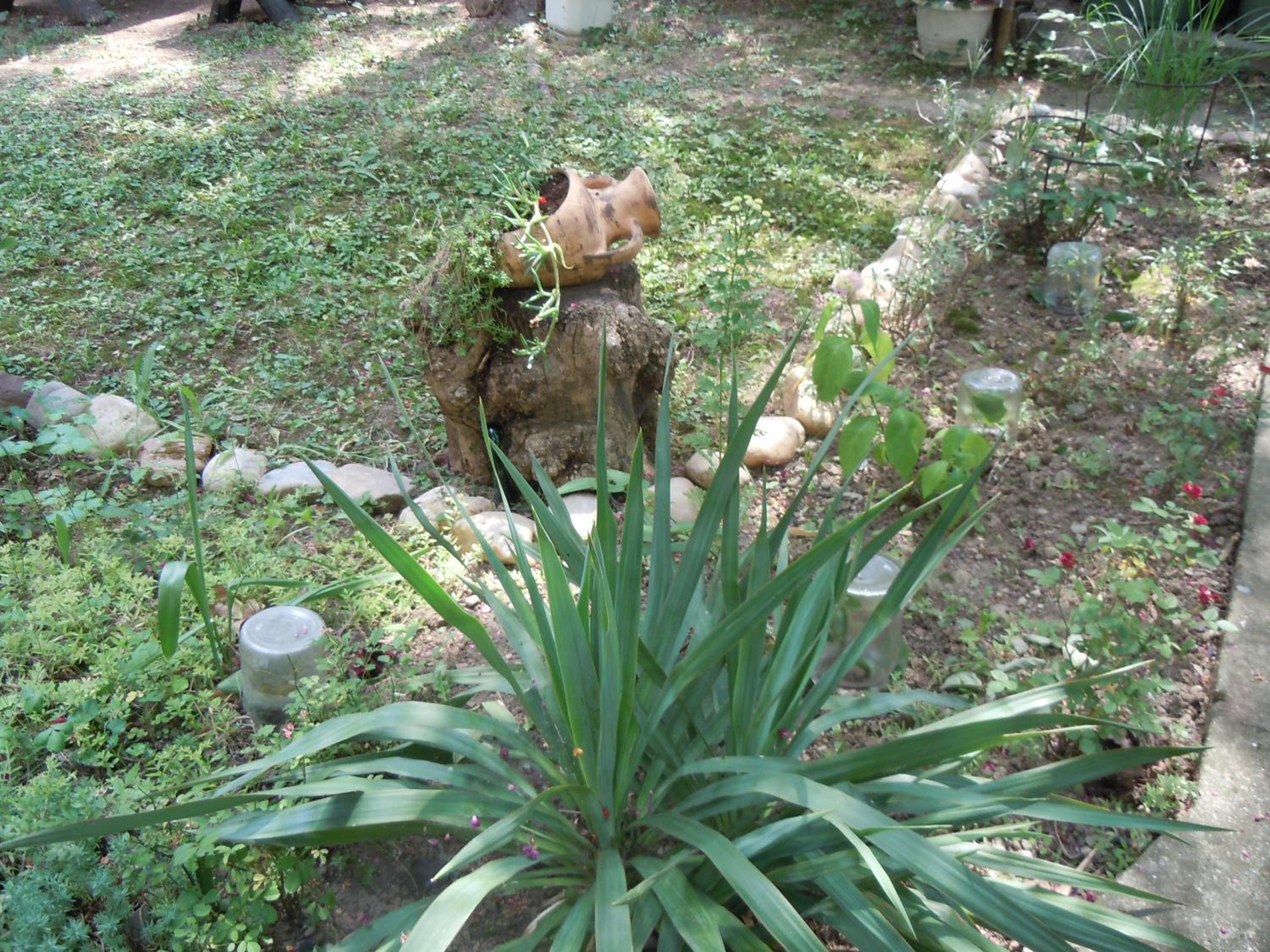 Photo 7