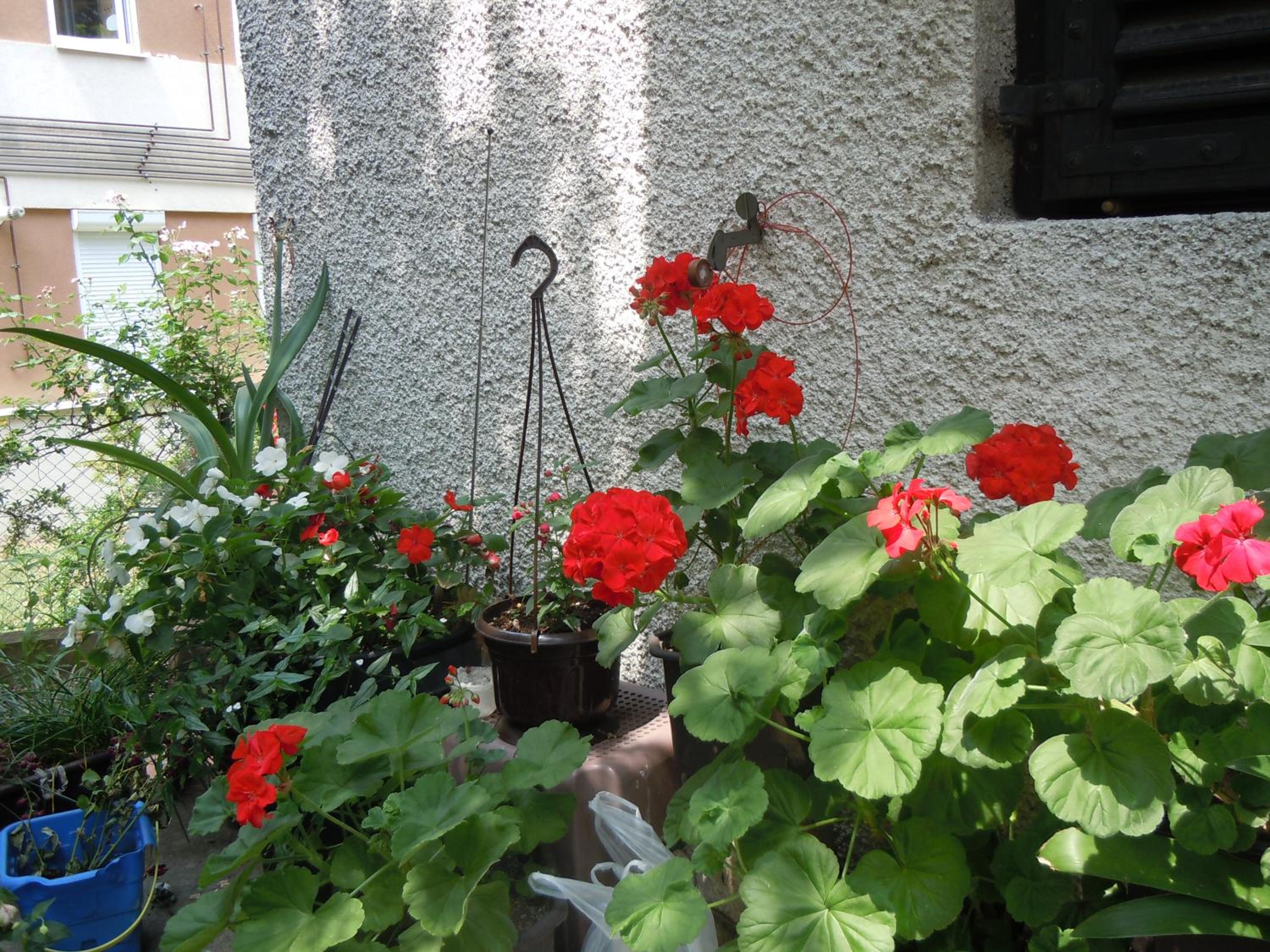 Photo 38