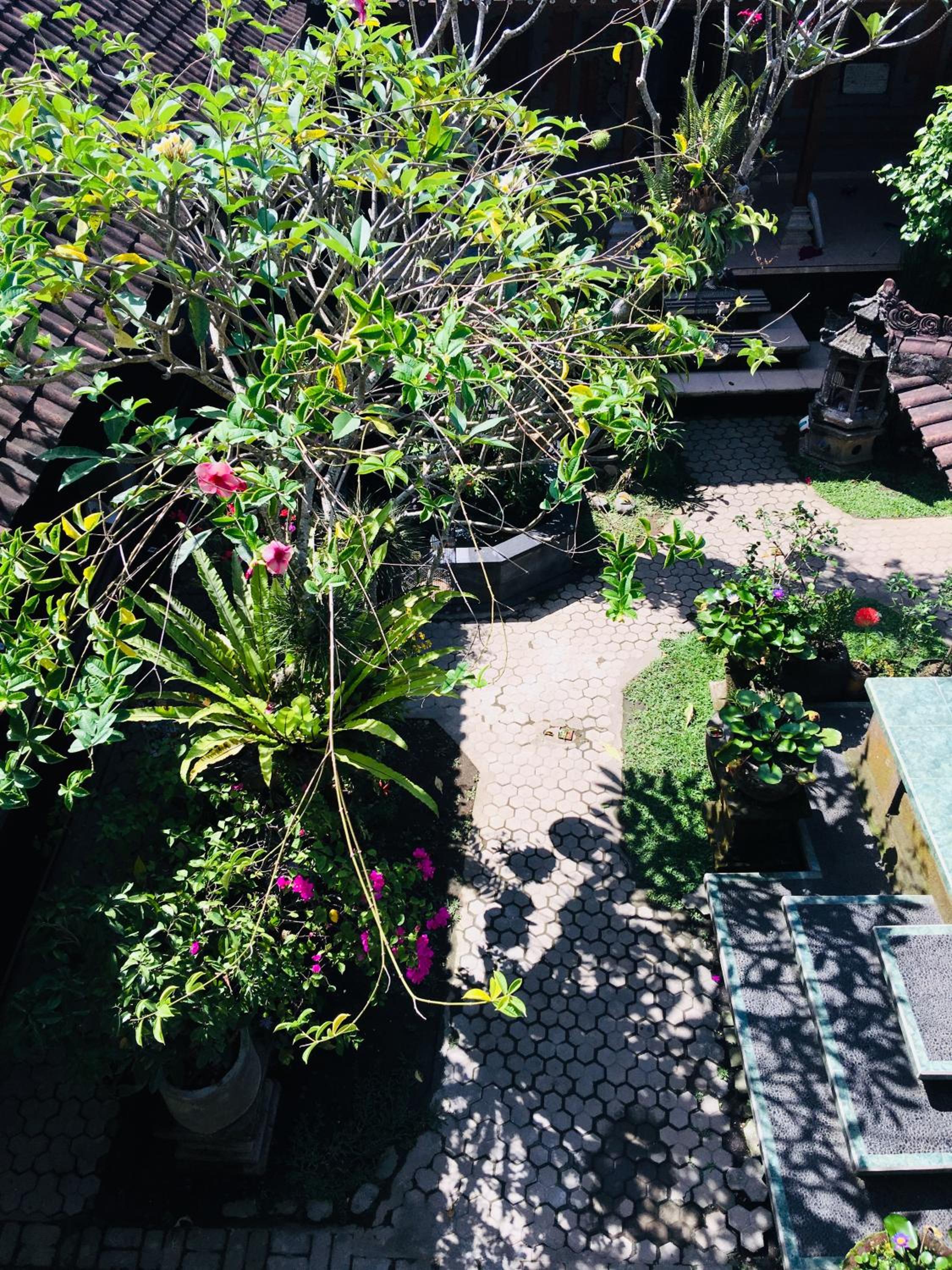 Wina Ubud B&B