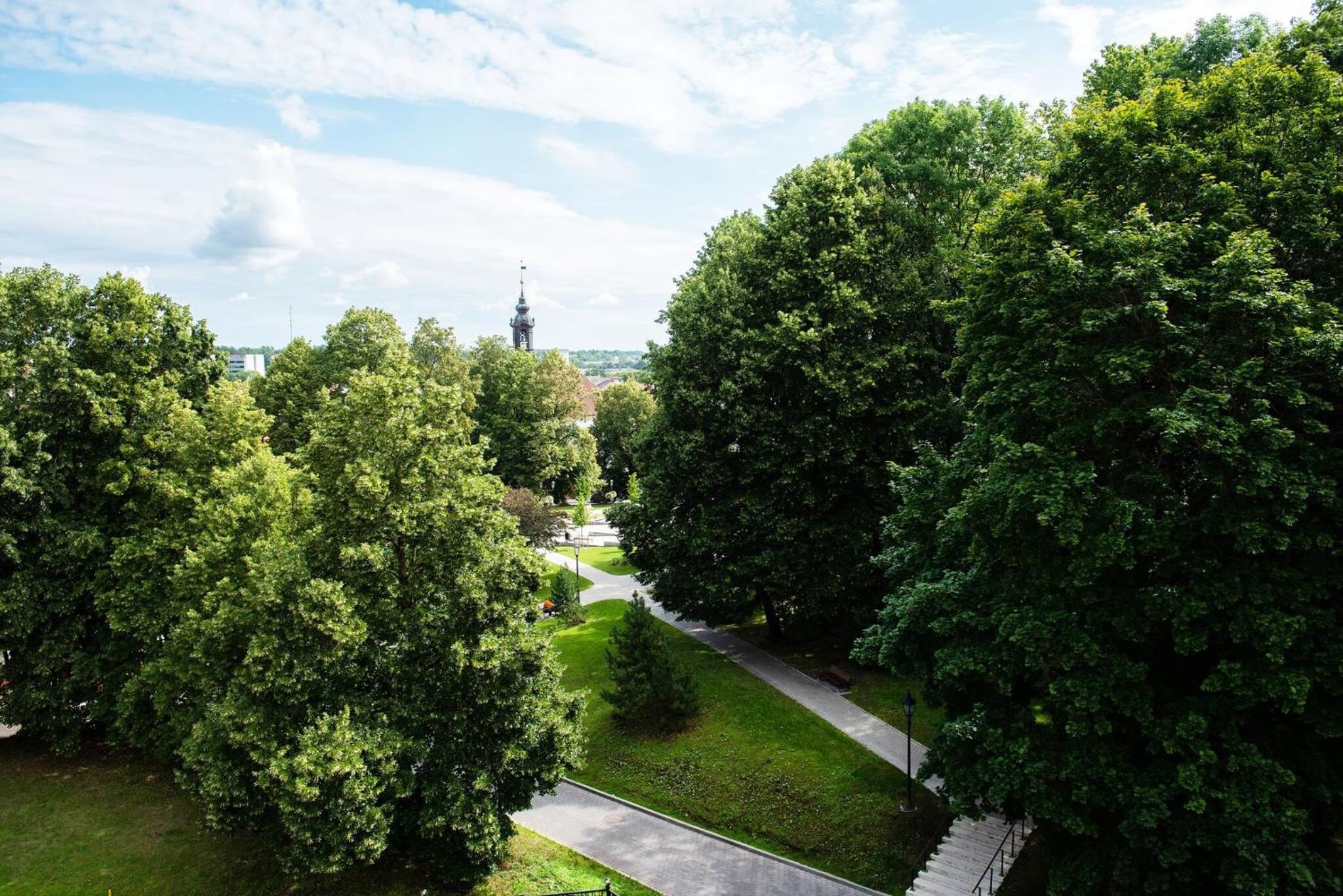 Lossi 32 Penthouse view 5