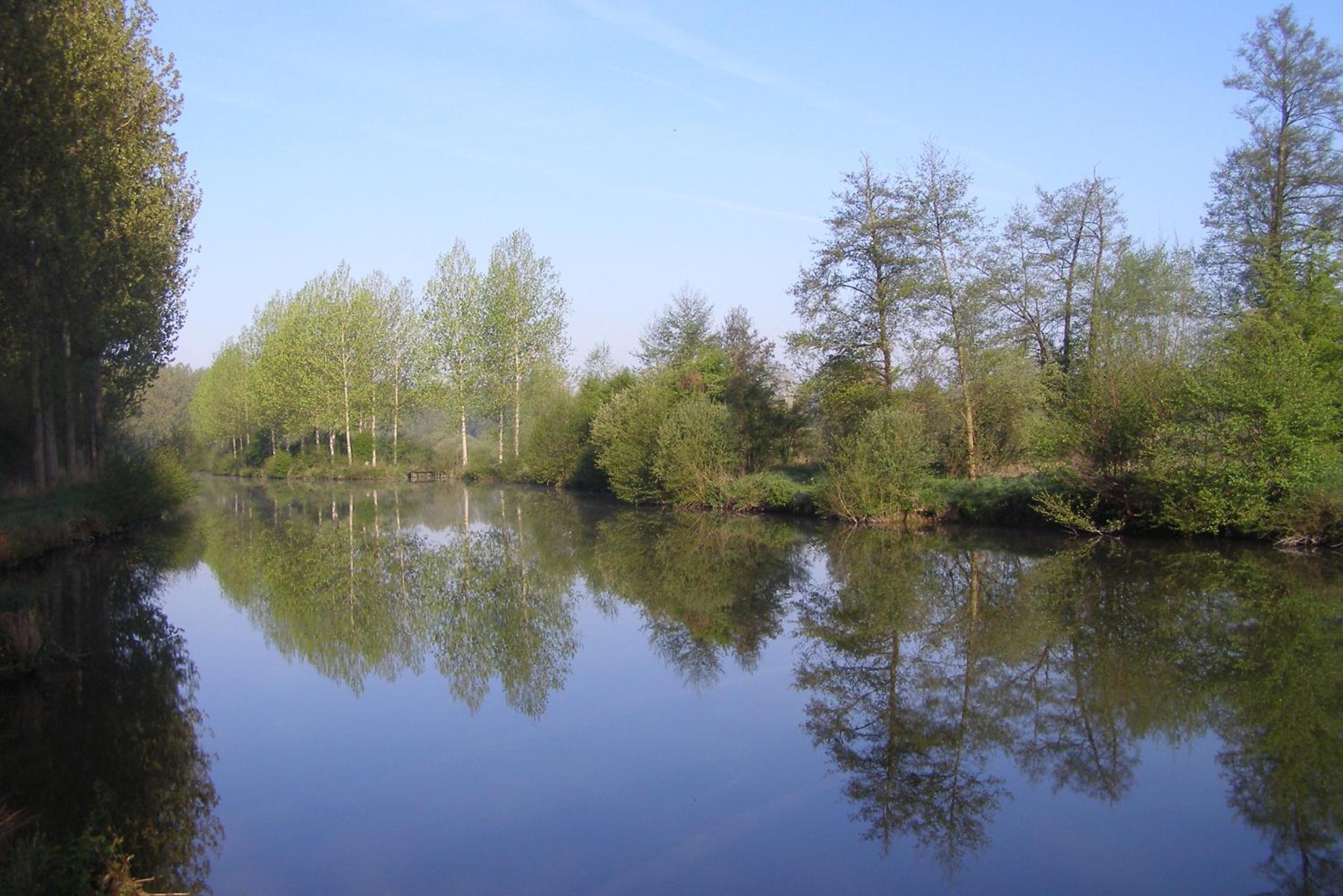 Photo 44