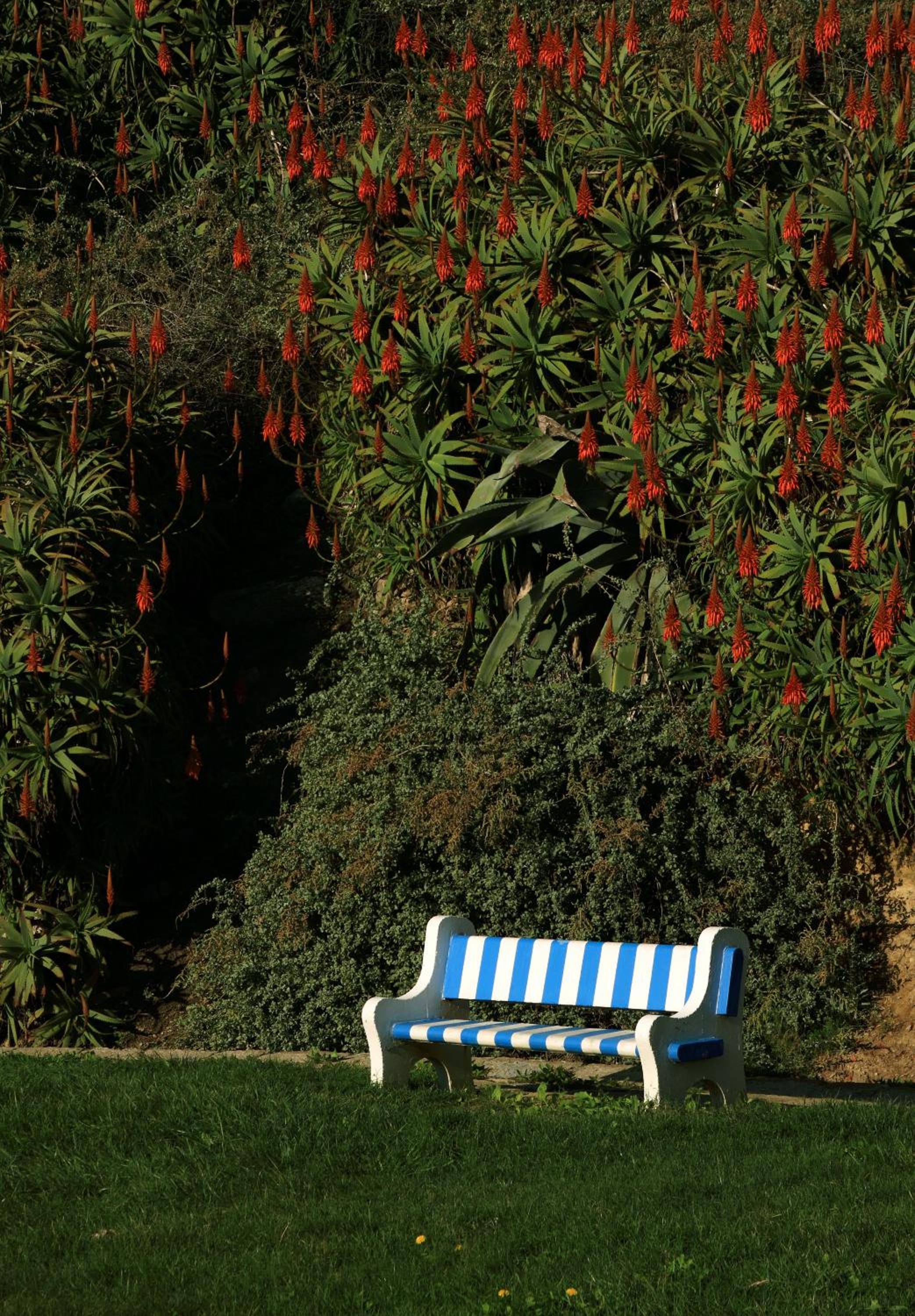 Azenhas do Mar Cottage