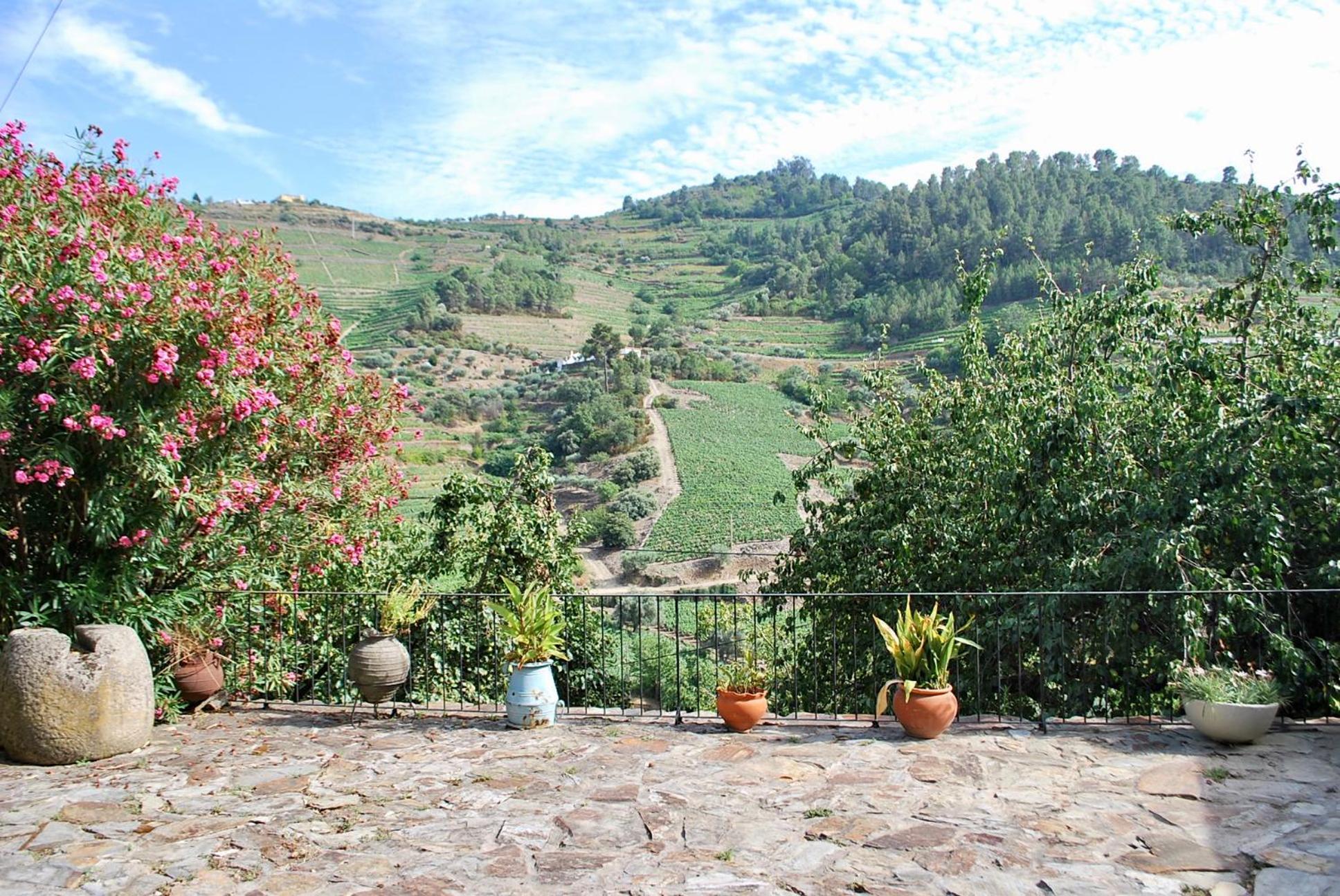 Casa de Mendiz view 2