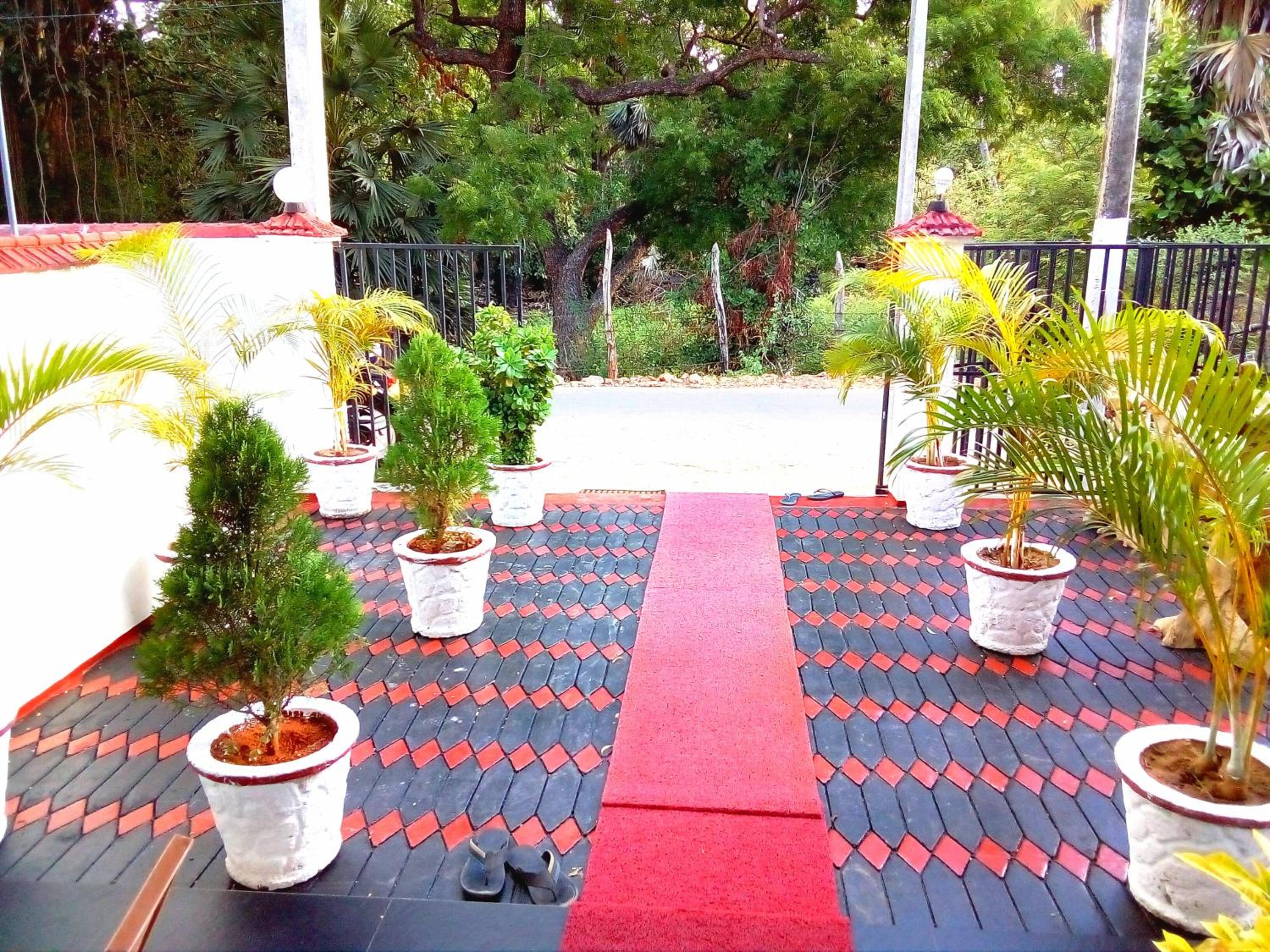 Photo 31