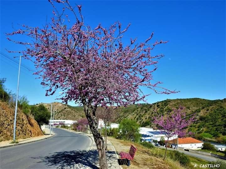 AL Ribeirinho view 2
