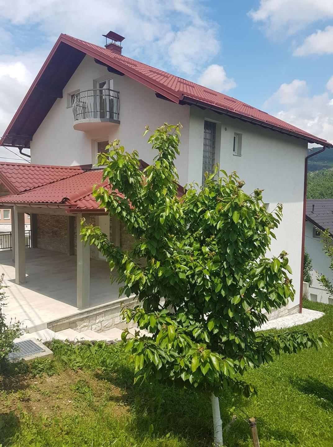 Villa Fruit Garden view 5
